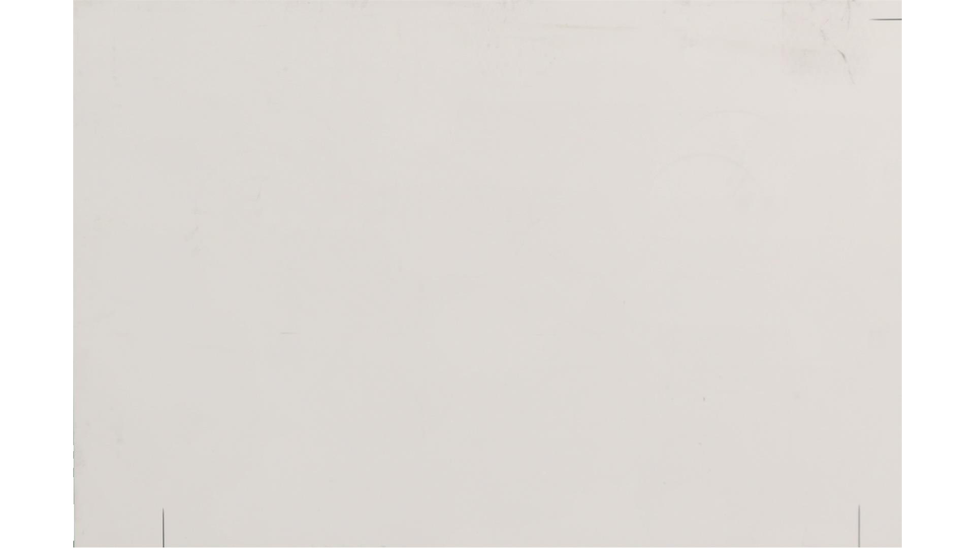 Arctic White Quartz Slabs