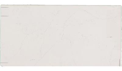 Calacatta Botanica Quartz