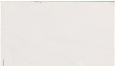 Calacatta Oro Quartz