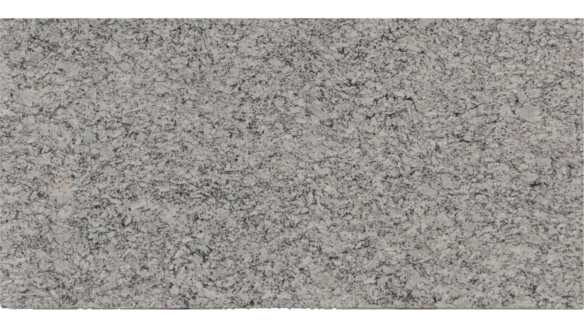Dallas White Granite Slabs