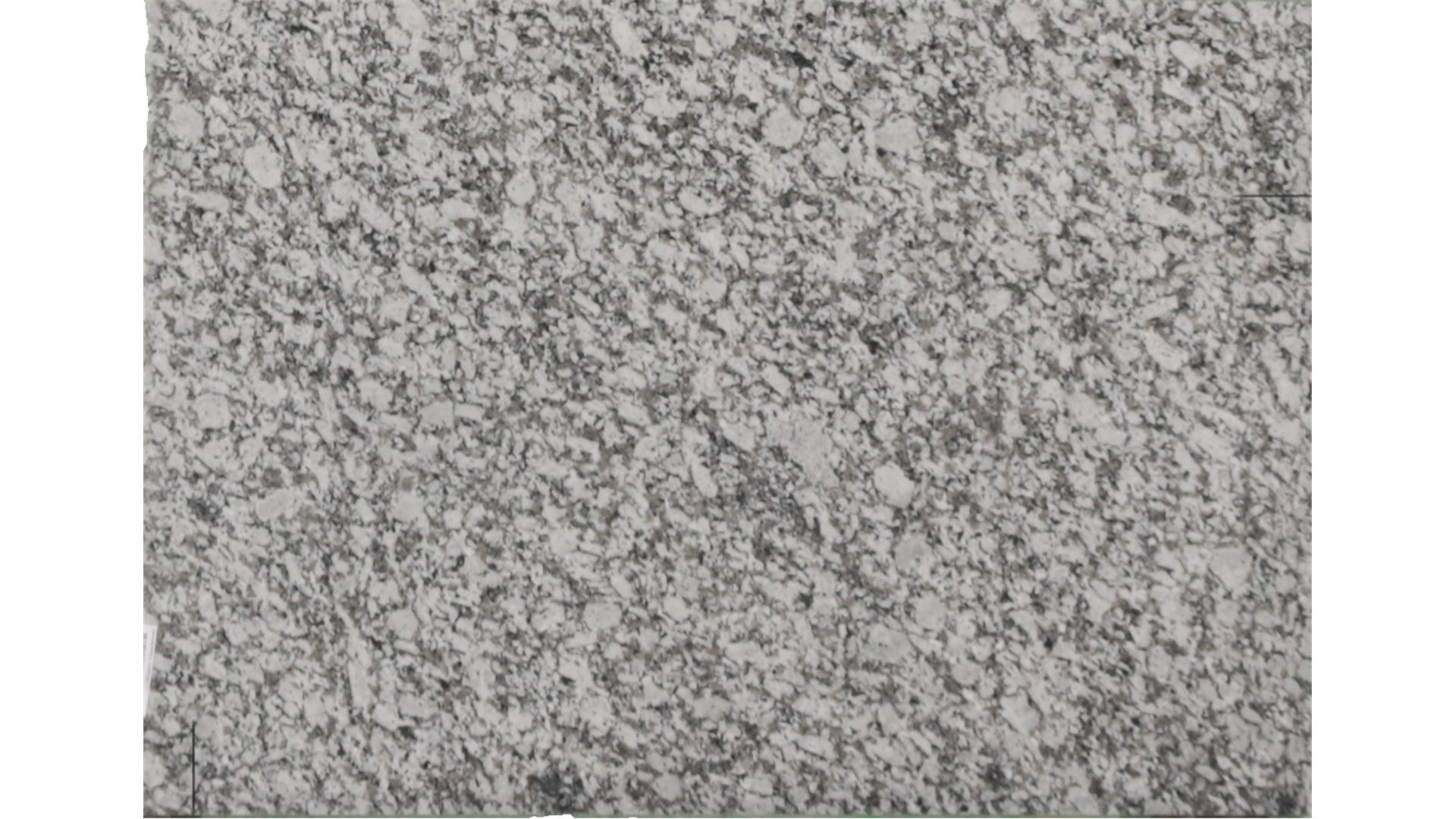 Gran Perla Granite Slabs