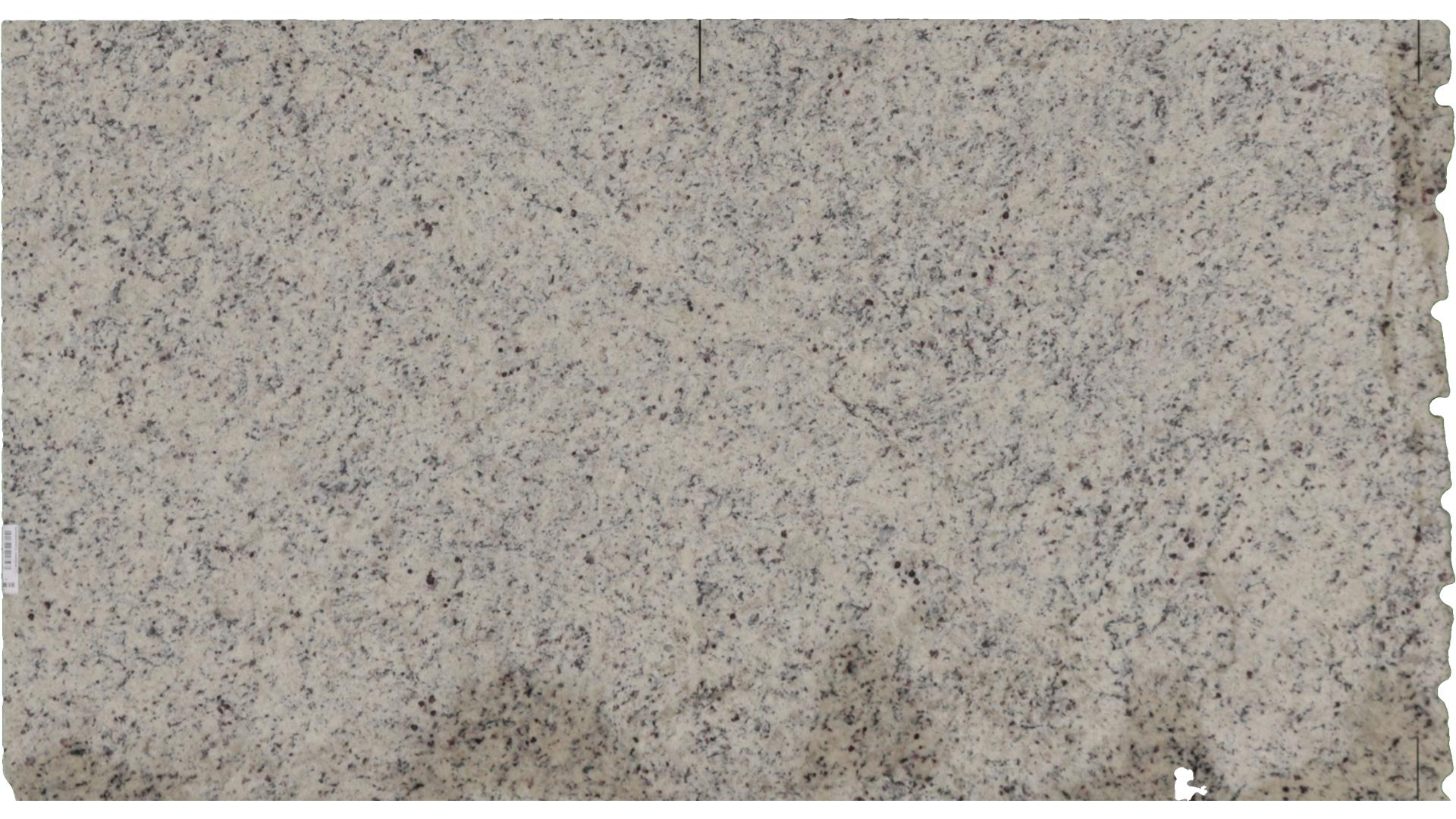 White G Granite Slabs