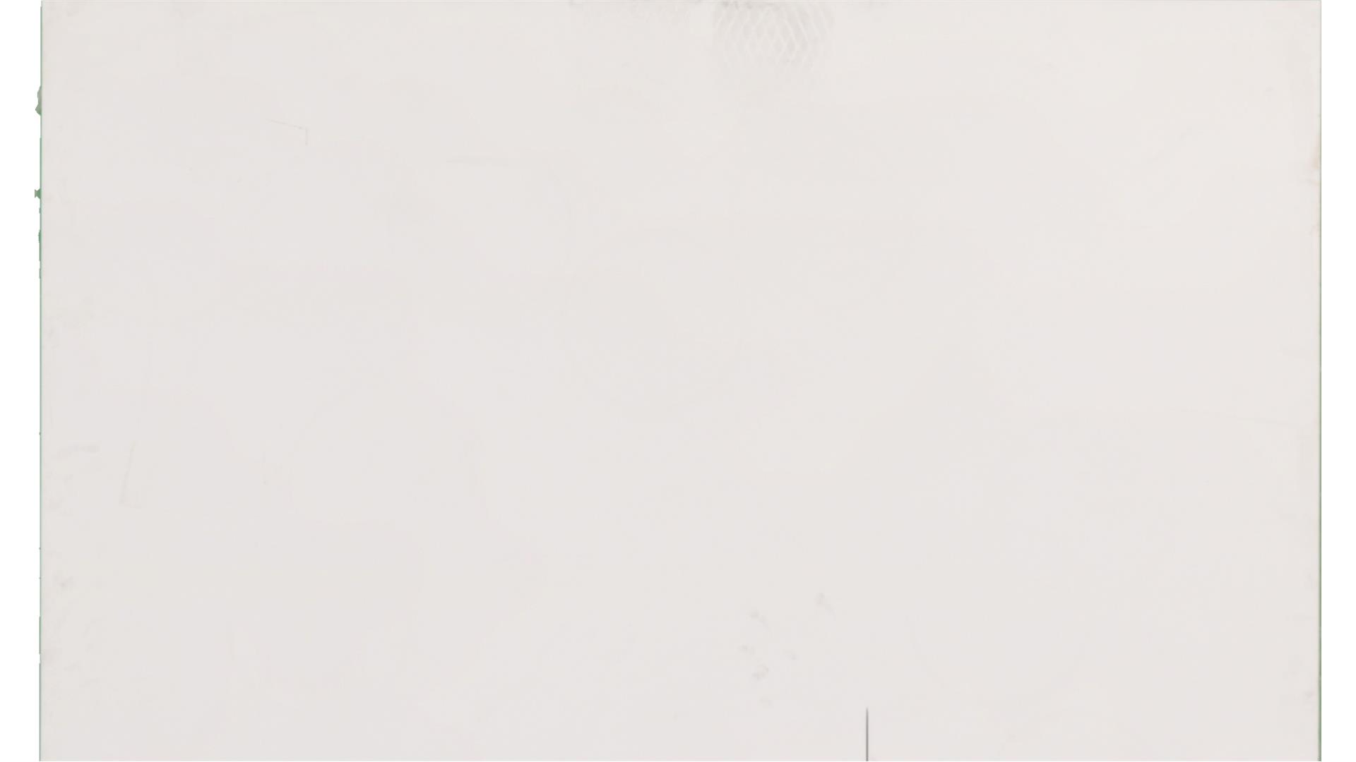 Arctic White Quartz Slabs