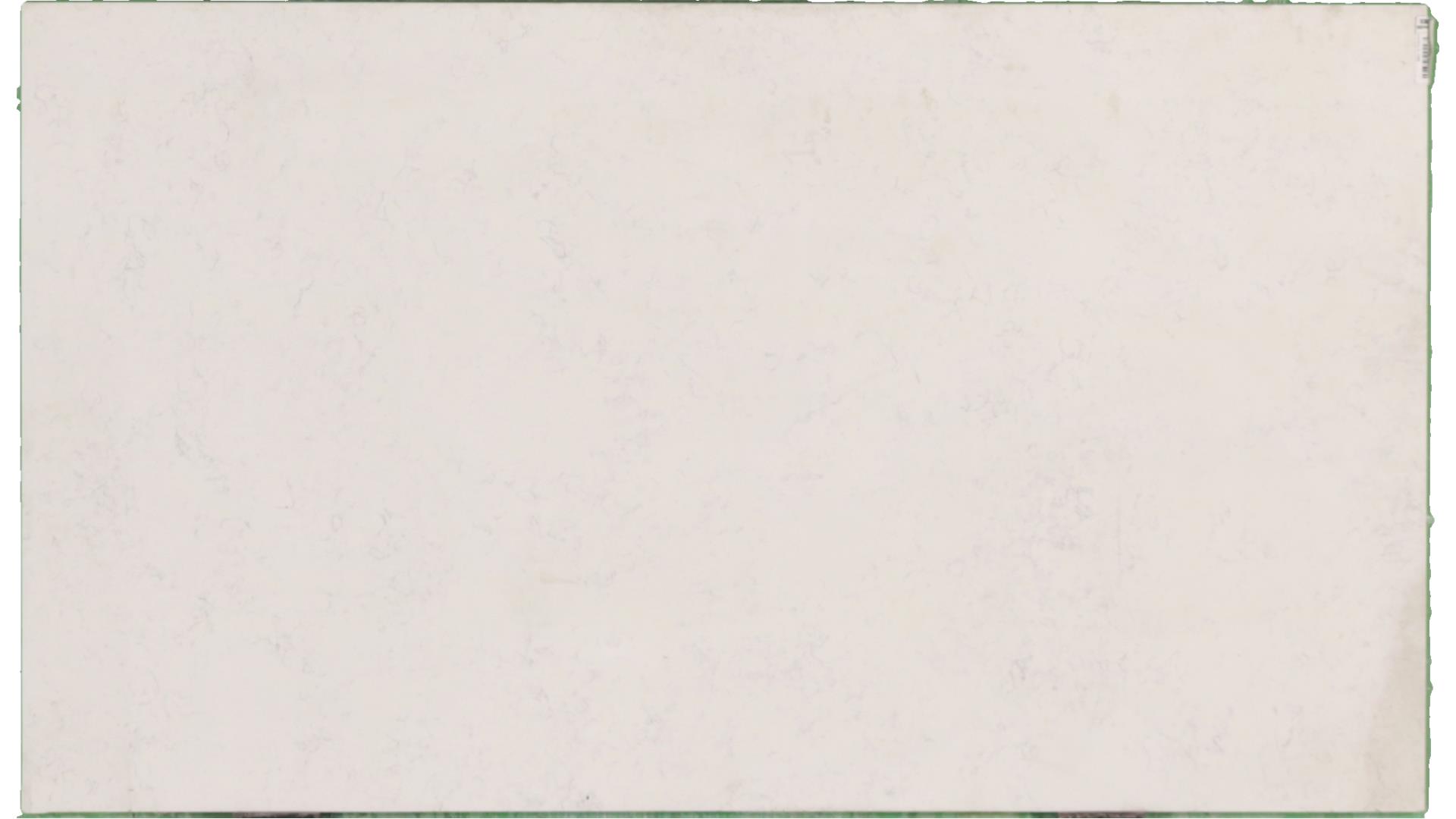 Calacatta Vicenza Quartz Slabs