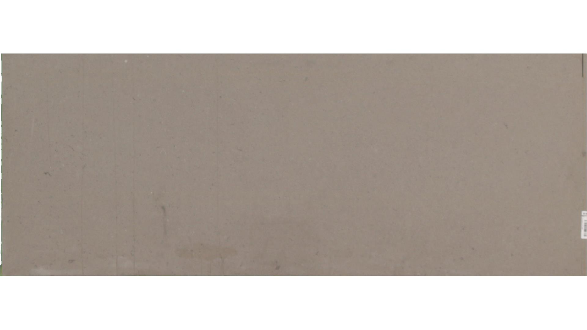 Fossil Grey Quartz Slabs