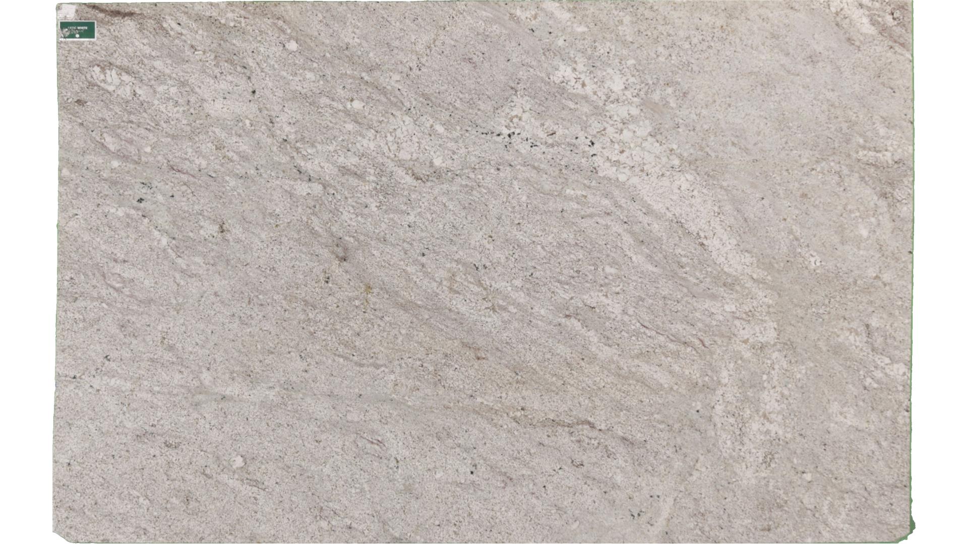 Absolute White Granite Slabs