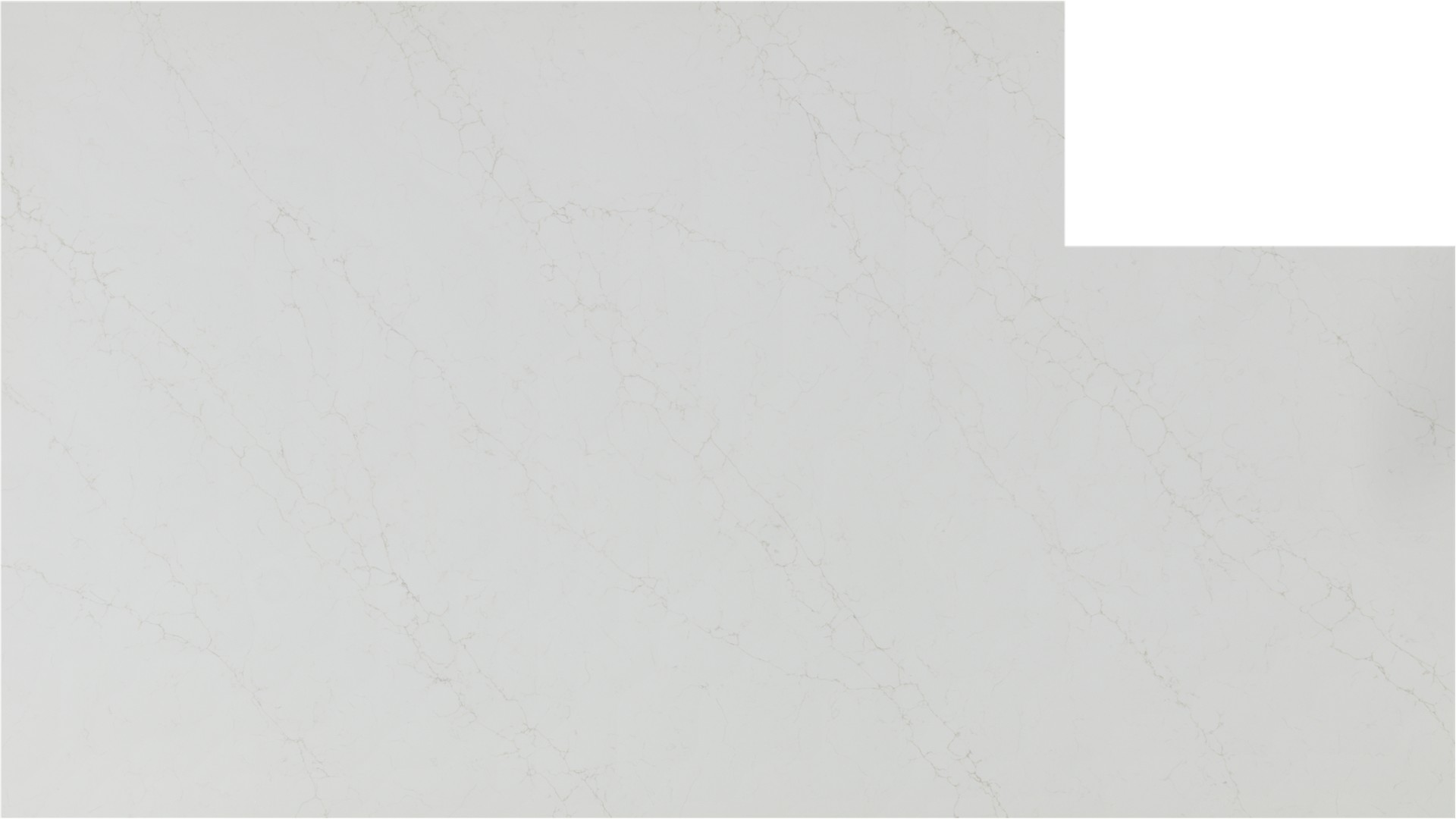 Lenox Oro Quartz Slabs