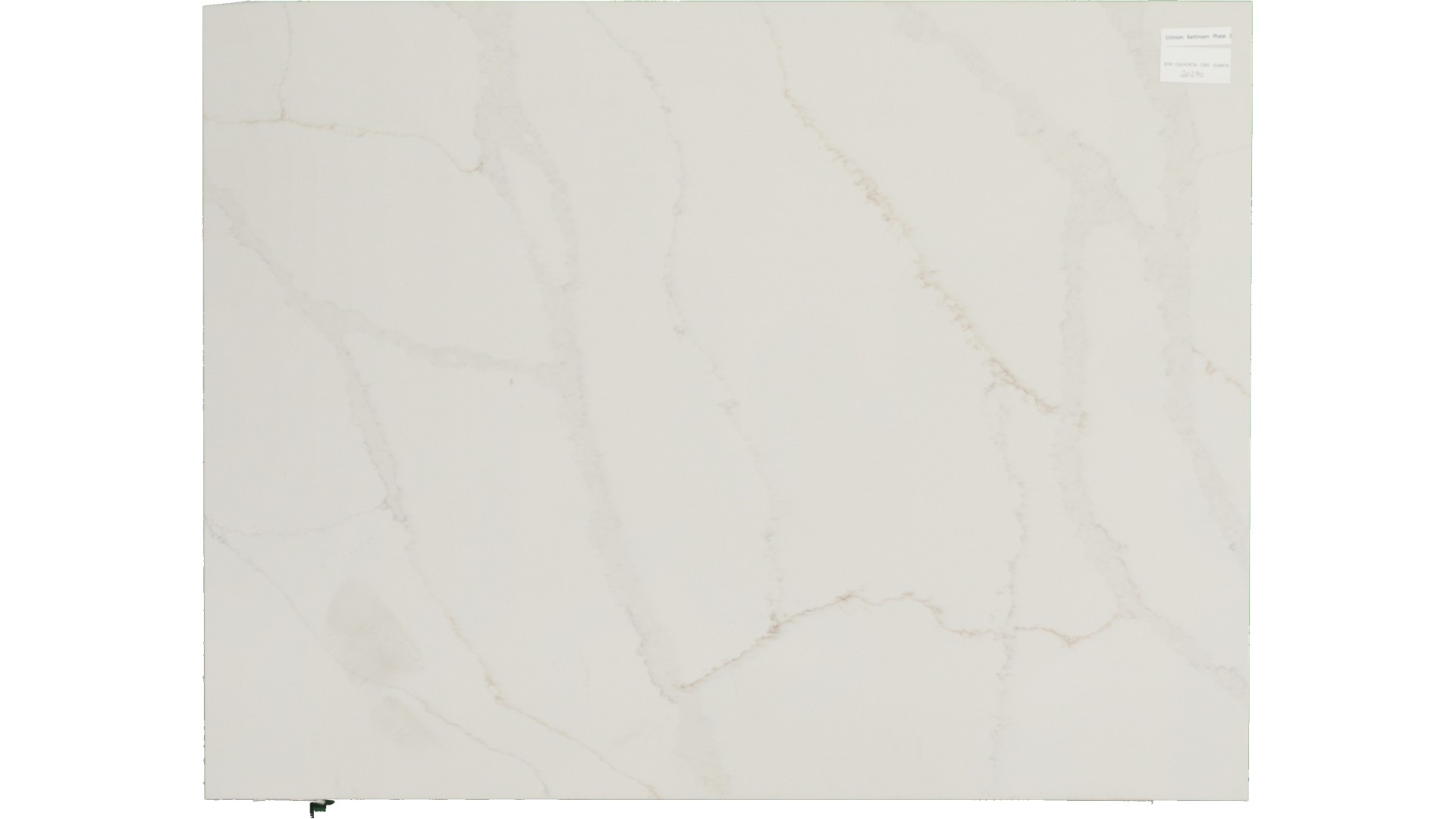 Calacatta Lore Quartz Slabs