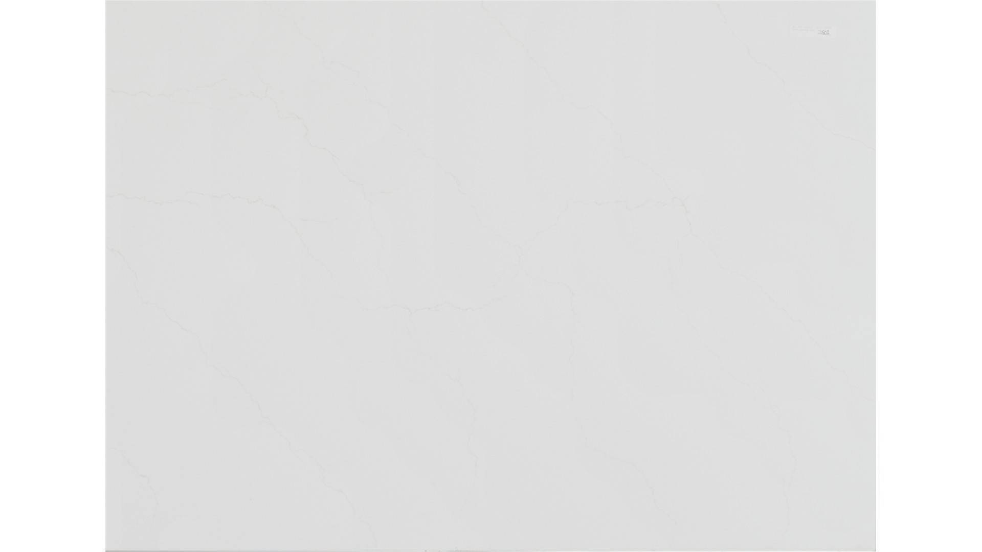 Calacatta Adonia Quartz Slabs