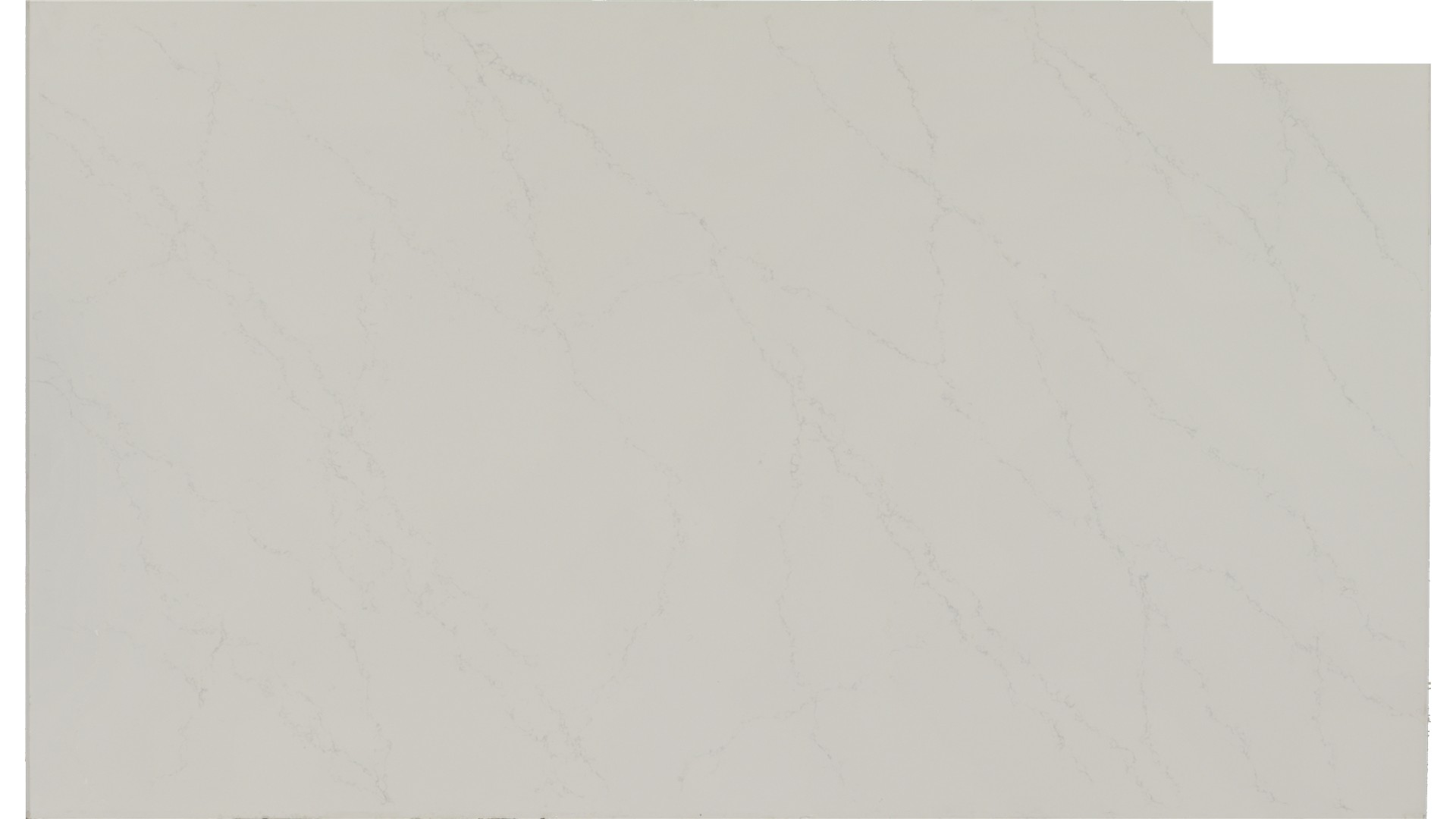 Liberty Calacatta Quartz Slabs