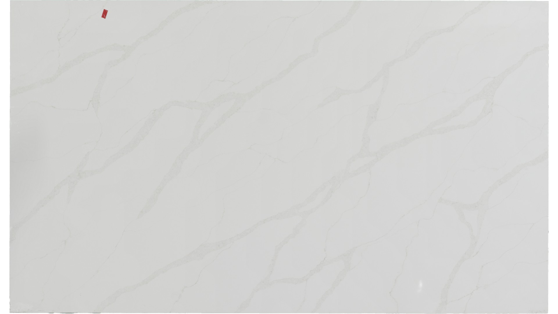 Calacatta Elysio Quartz Slabs