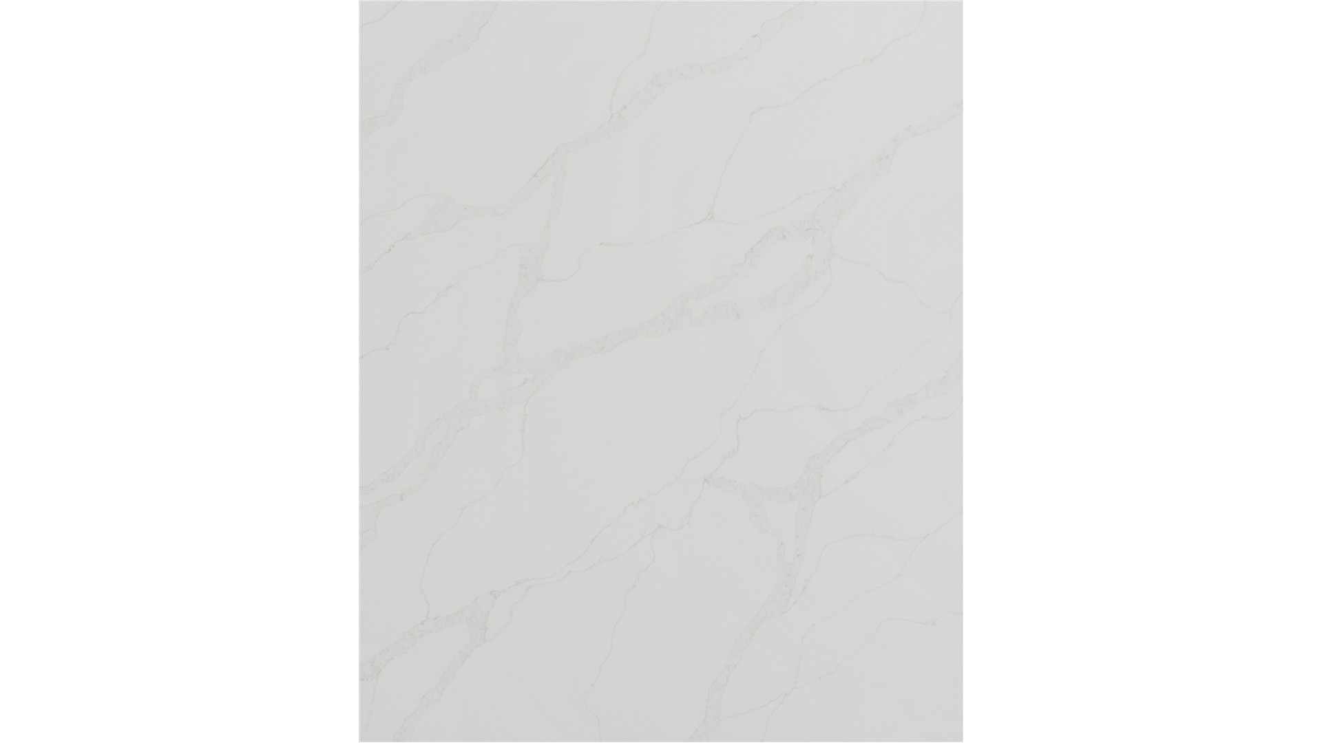 Calacatta Elysio Quartz Slabs