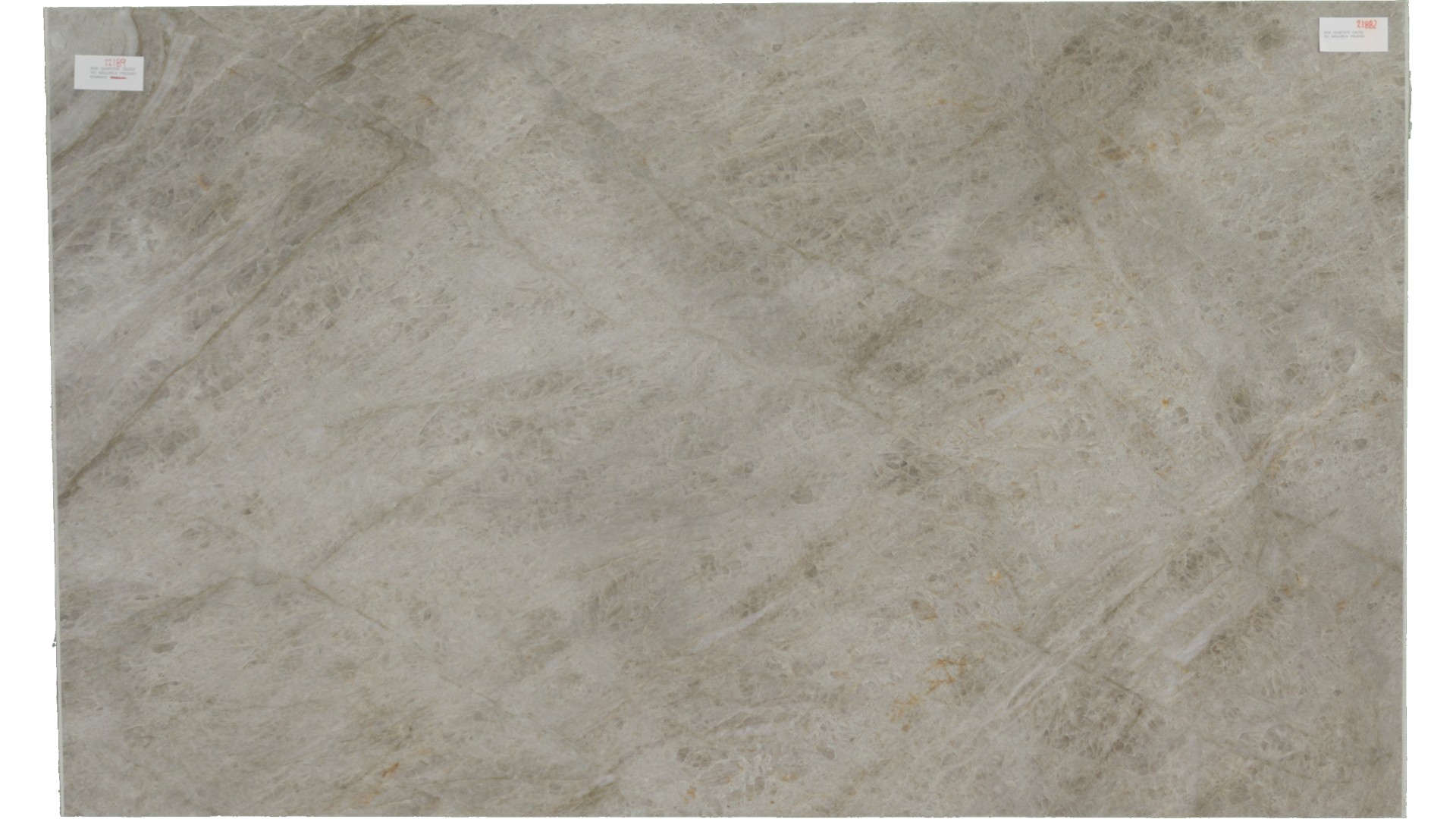 Taj Mallorca Quartzite Slabs