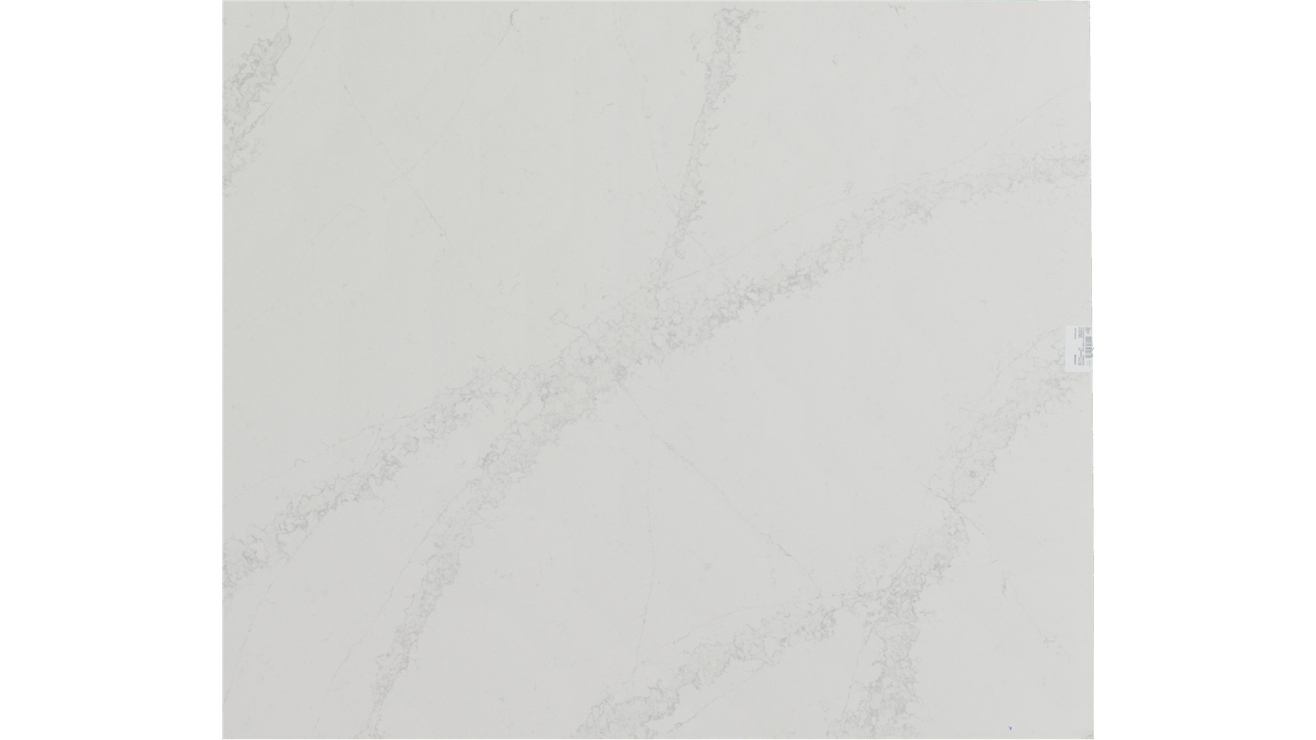 Calacatta Themis Quartz Slabs