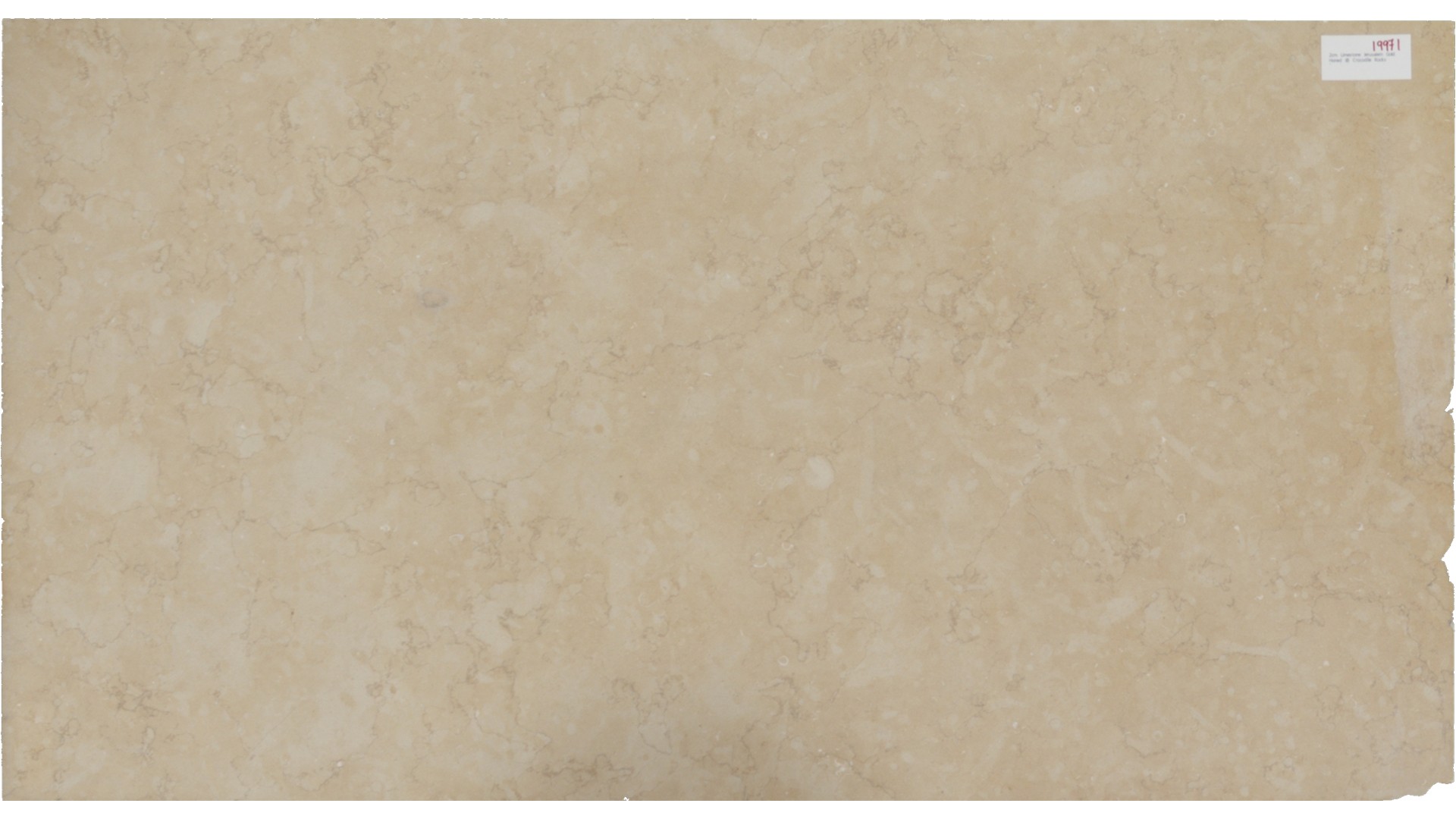 Jerusalem Gold Limestone Slabs