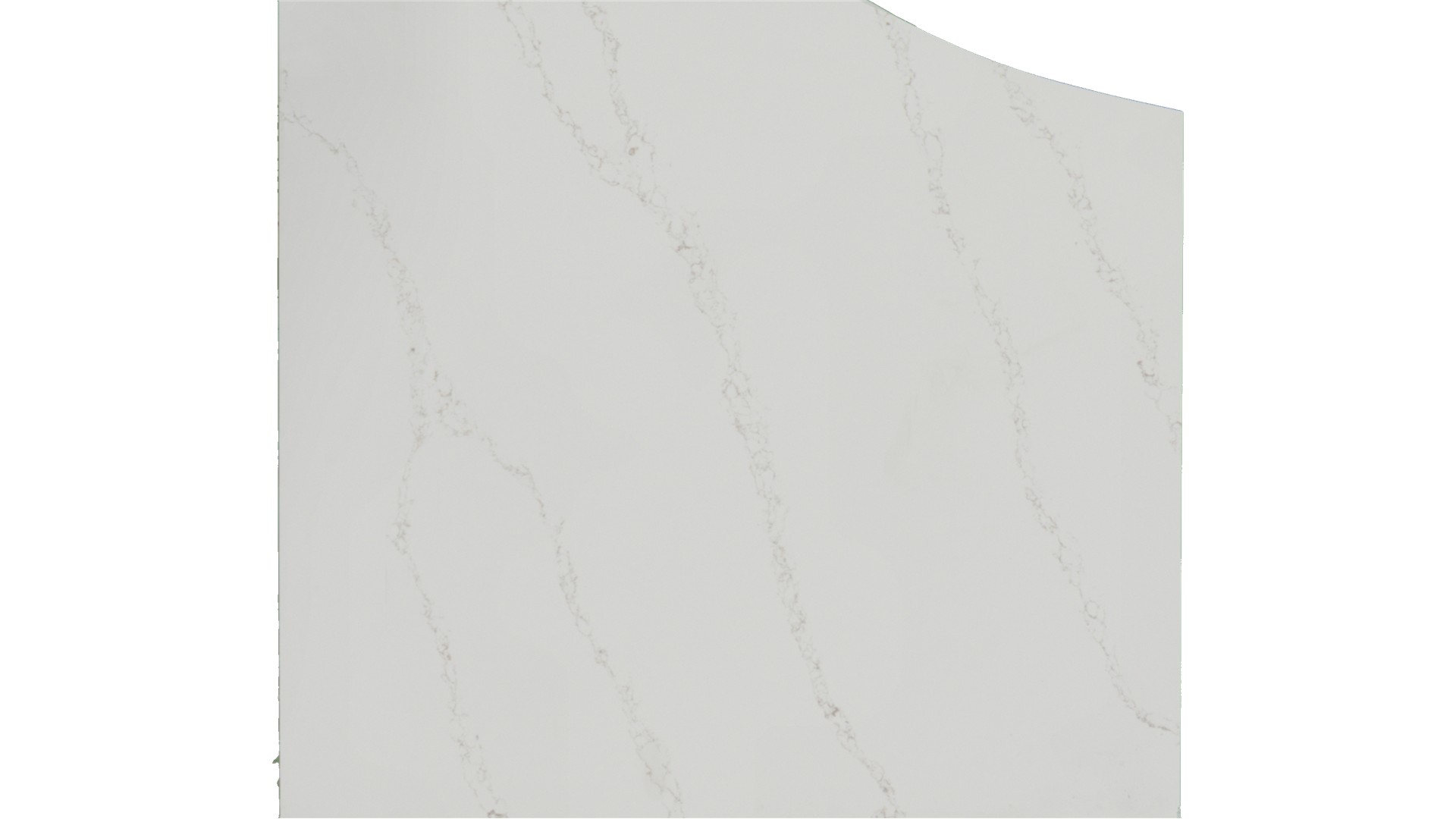Calacatta Arno Quartz Slabs