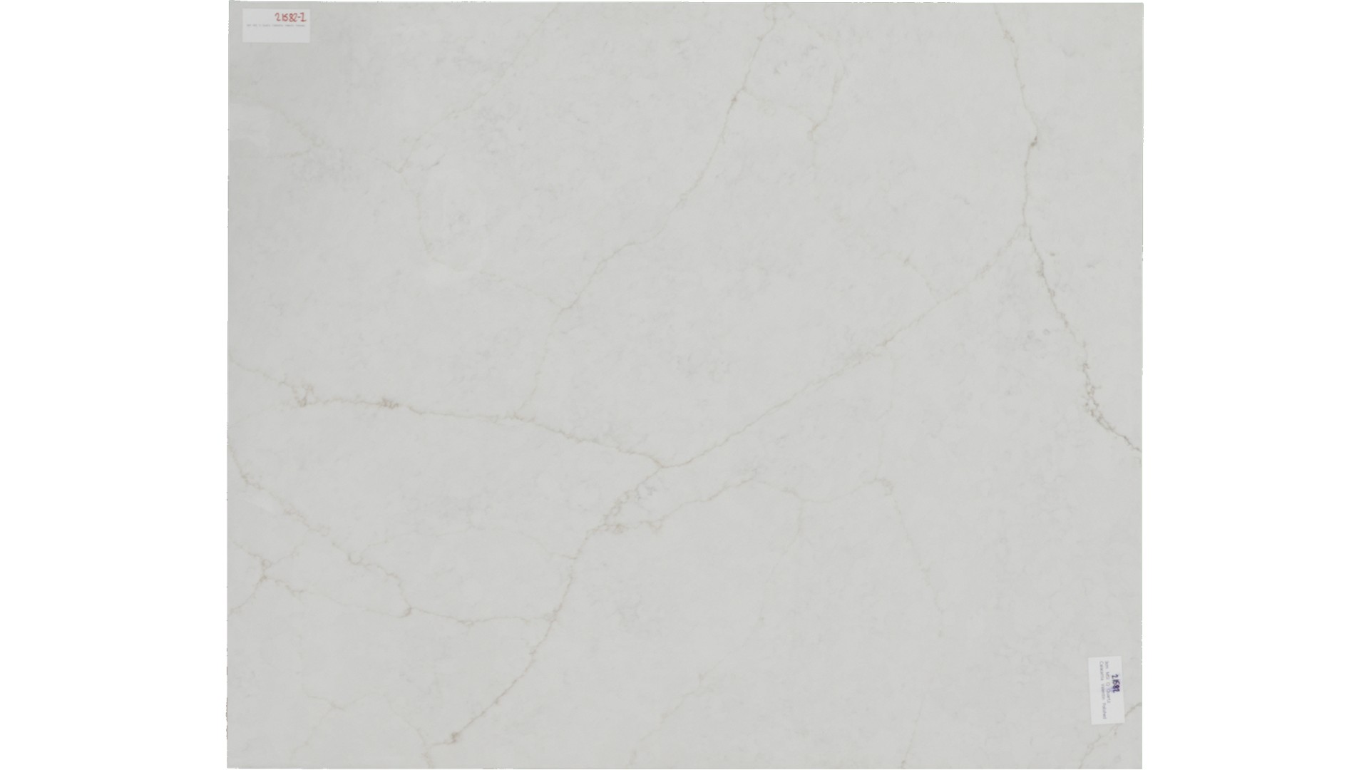 Calacatta Valentin Quartz Slabs