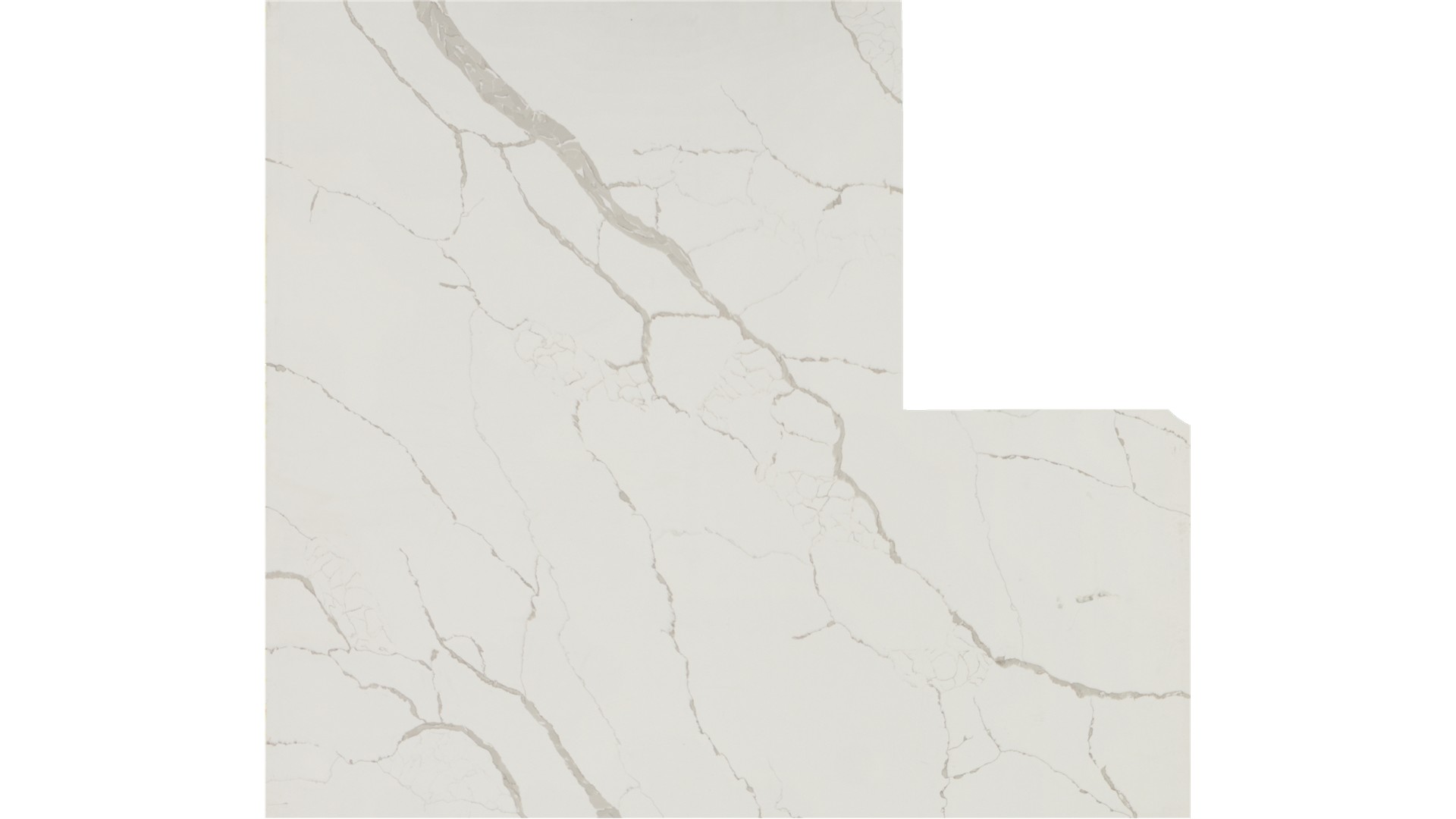 Calacatta Laza Quartz Slabs