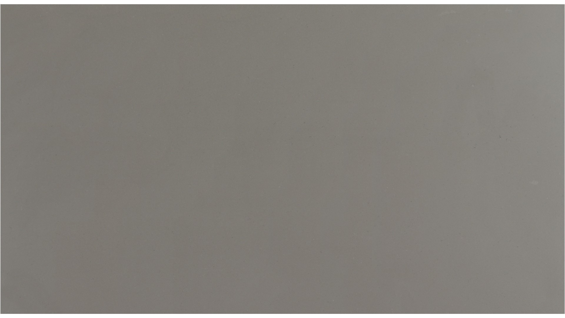 Fossil Gray Quartz Slabs