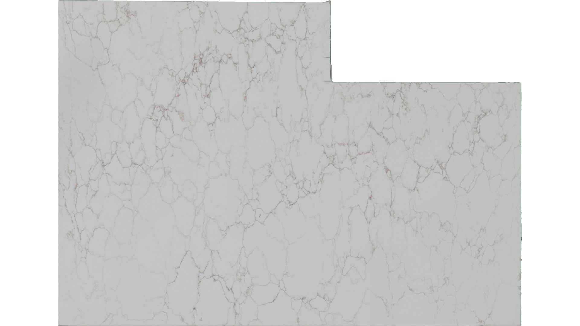 Nevea Gold Quartz Slabs