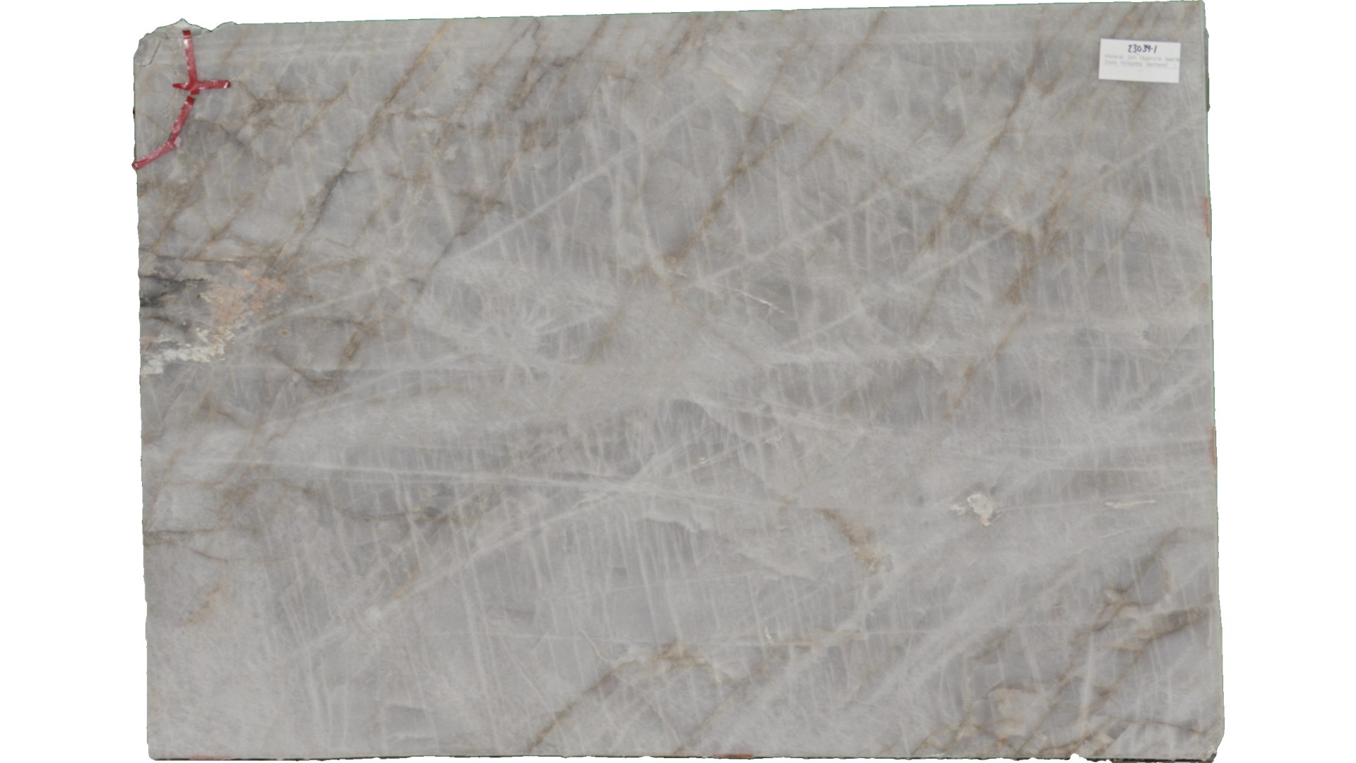 Patagonia Quartzite Slabs