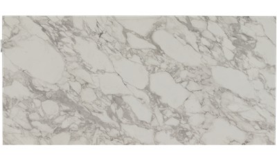 Arabescato Grey Porcelain