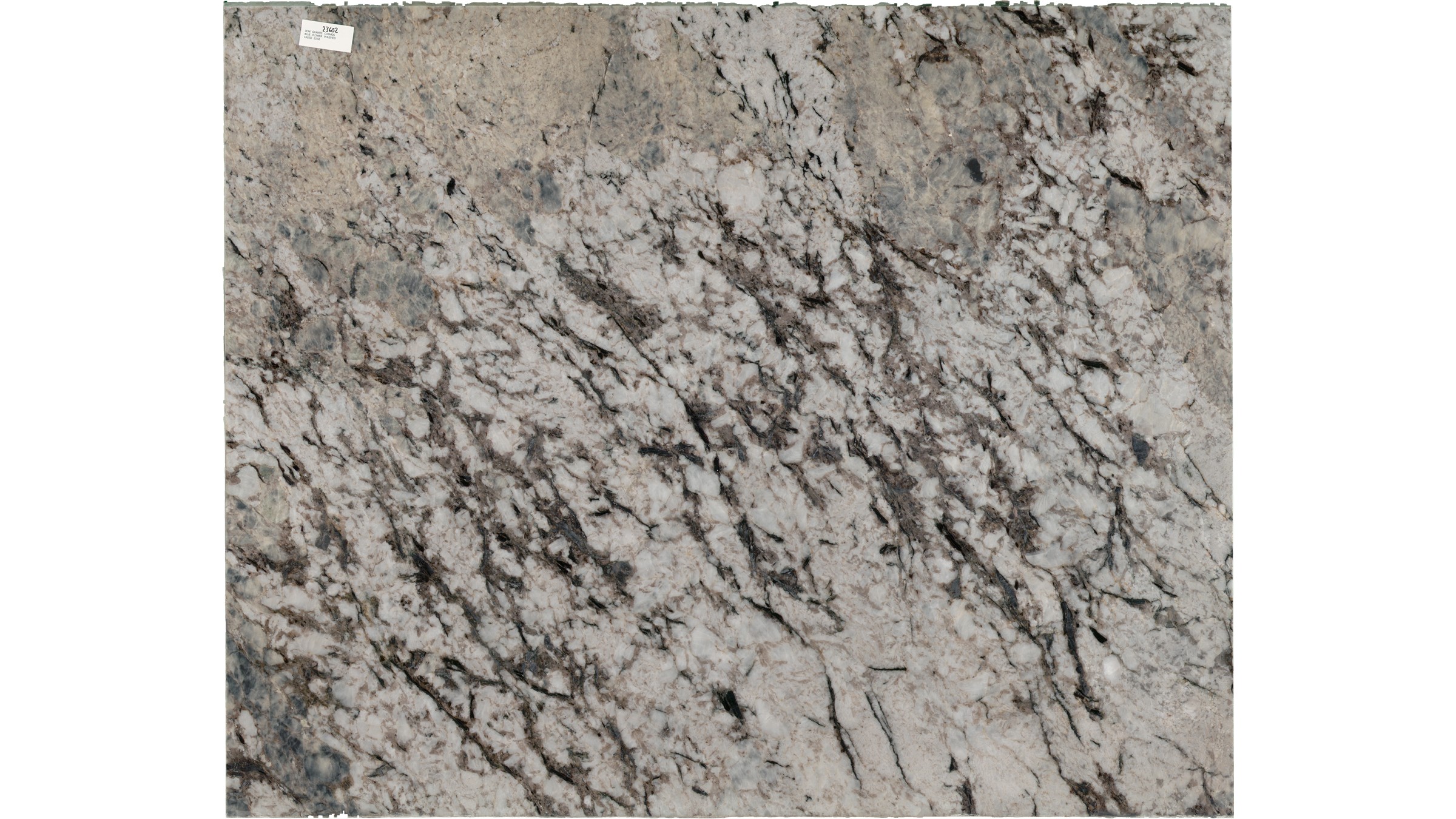 Blue Flower Granite Slabs