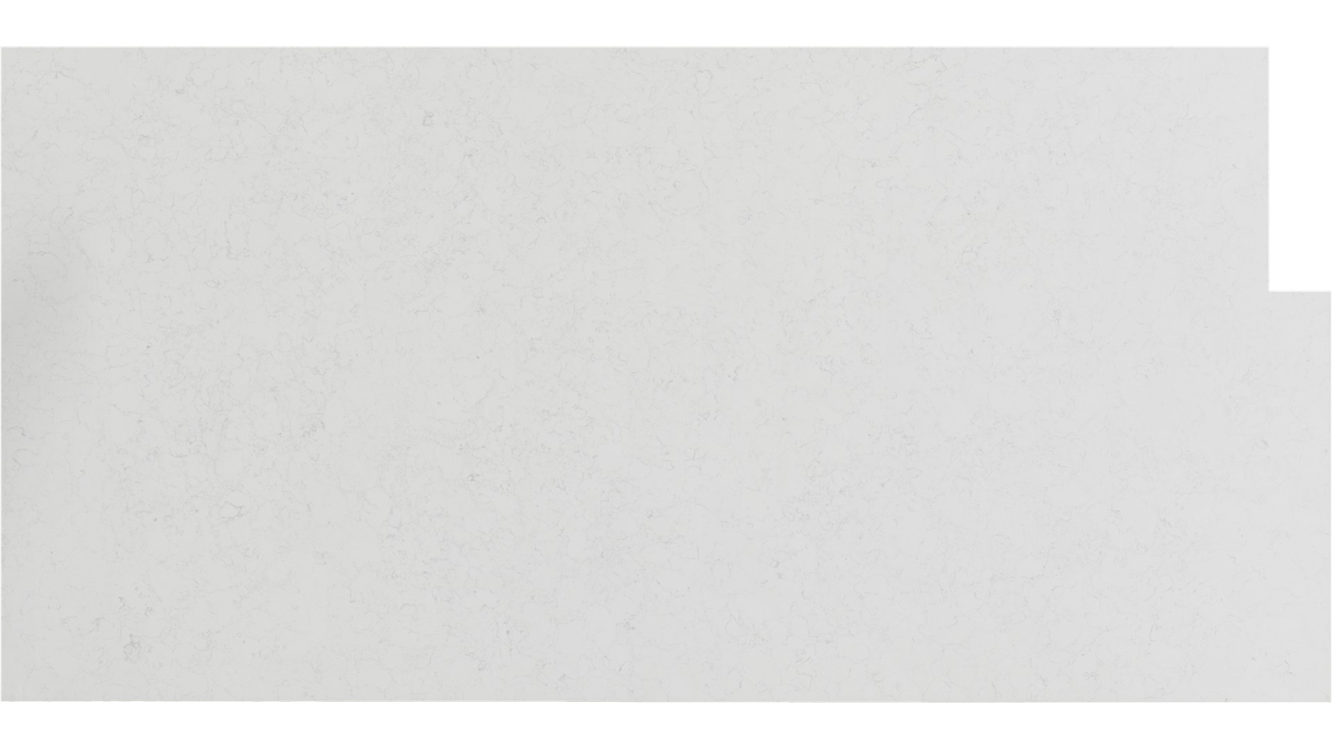 Carrara Trinita Quartz Slabs