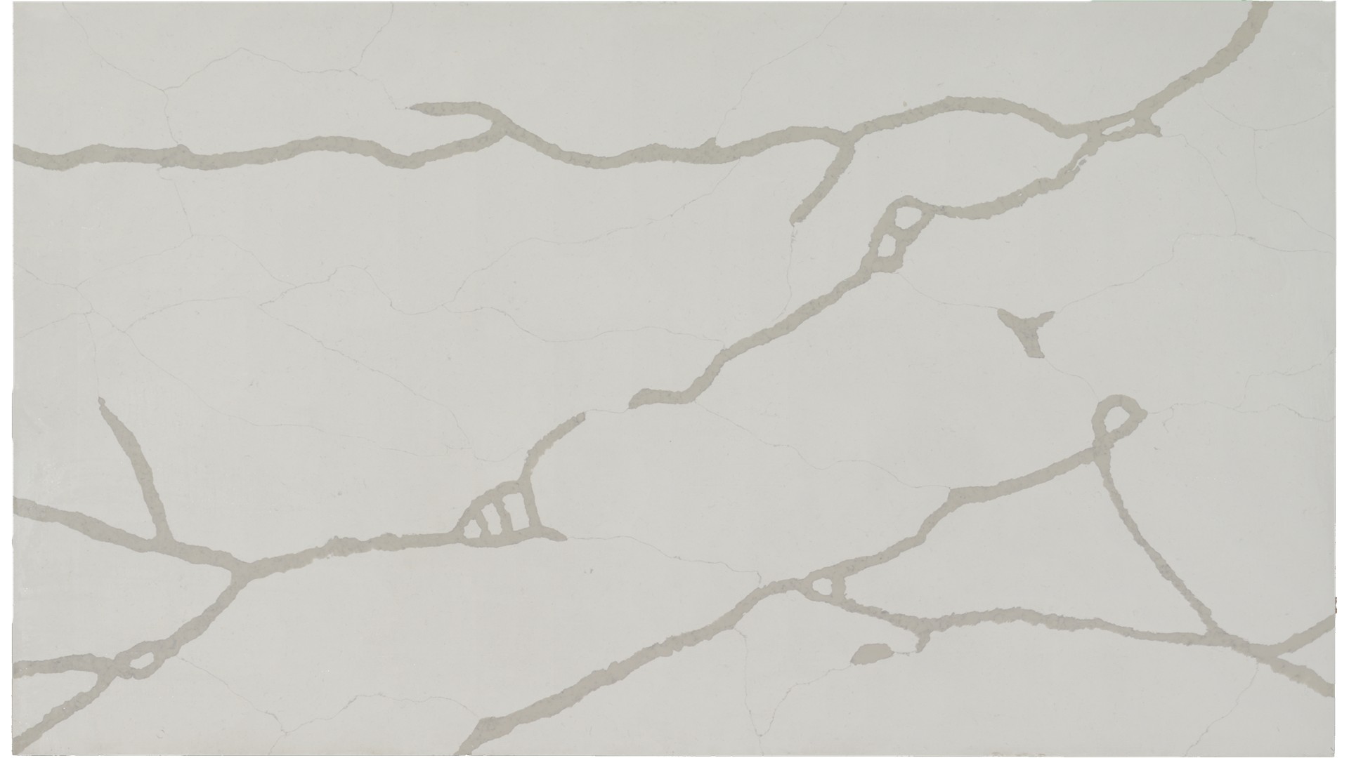Calacatta Trento Quartz Slabs