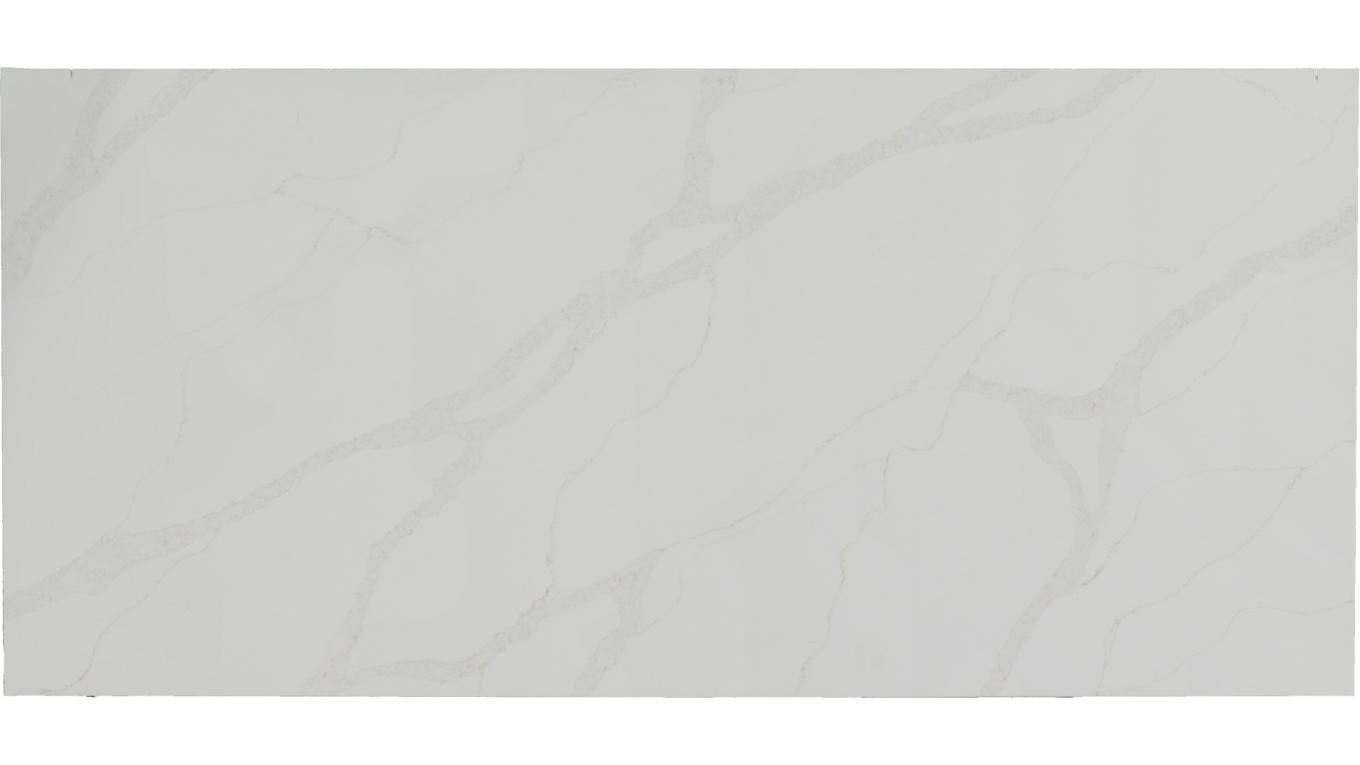 Calacatta Elysio Quartz Slabs