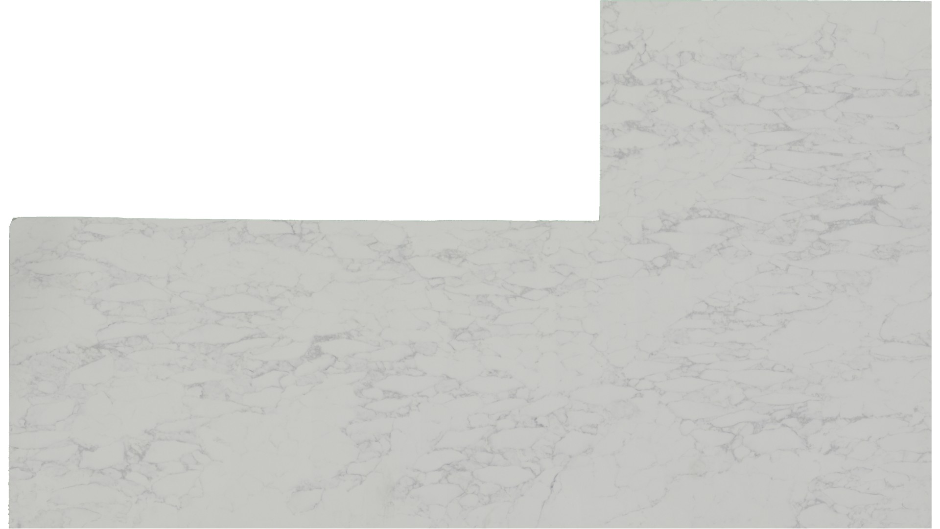 Arabescato Vagli Quartz Slabs