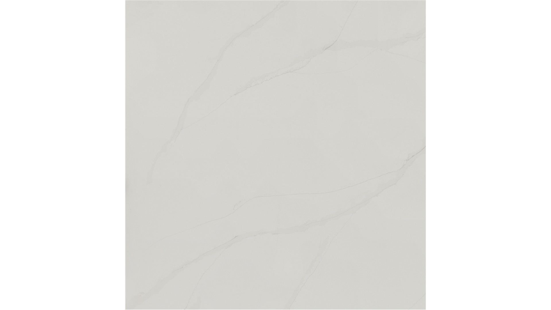 Calacatta Plata  Quartz Slabs