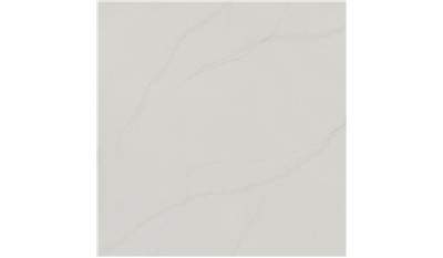 Calacatta Plata  Quartz