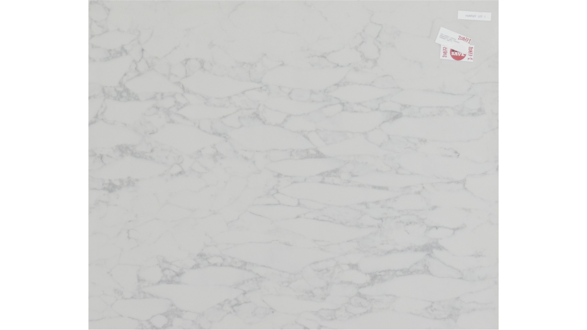 Arabescato Vagli Quartz Slabs