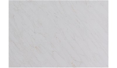 Calacatta Premata Quartz