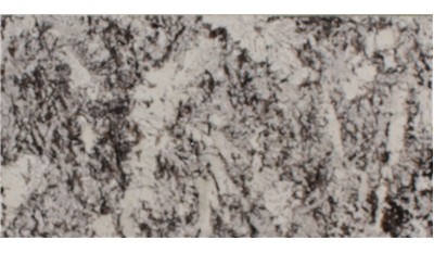 White Orion Granite