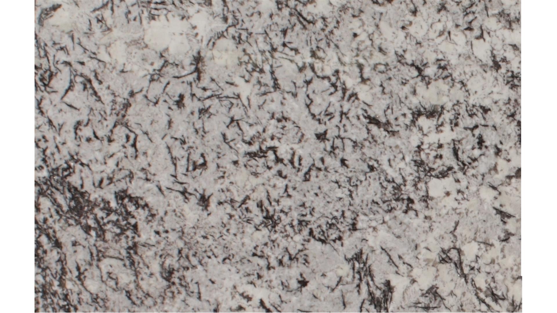 White Orion Granite Slabs