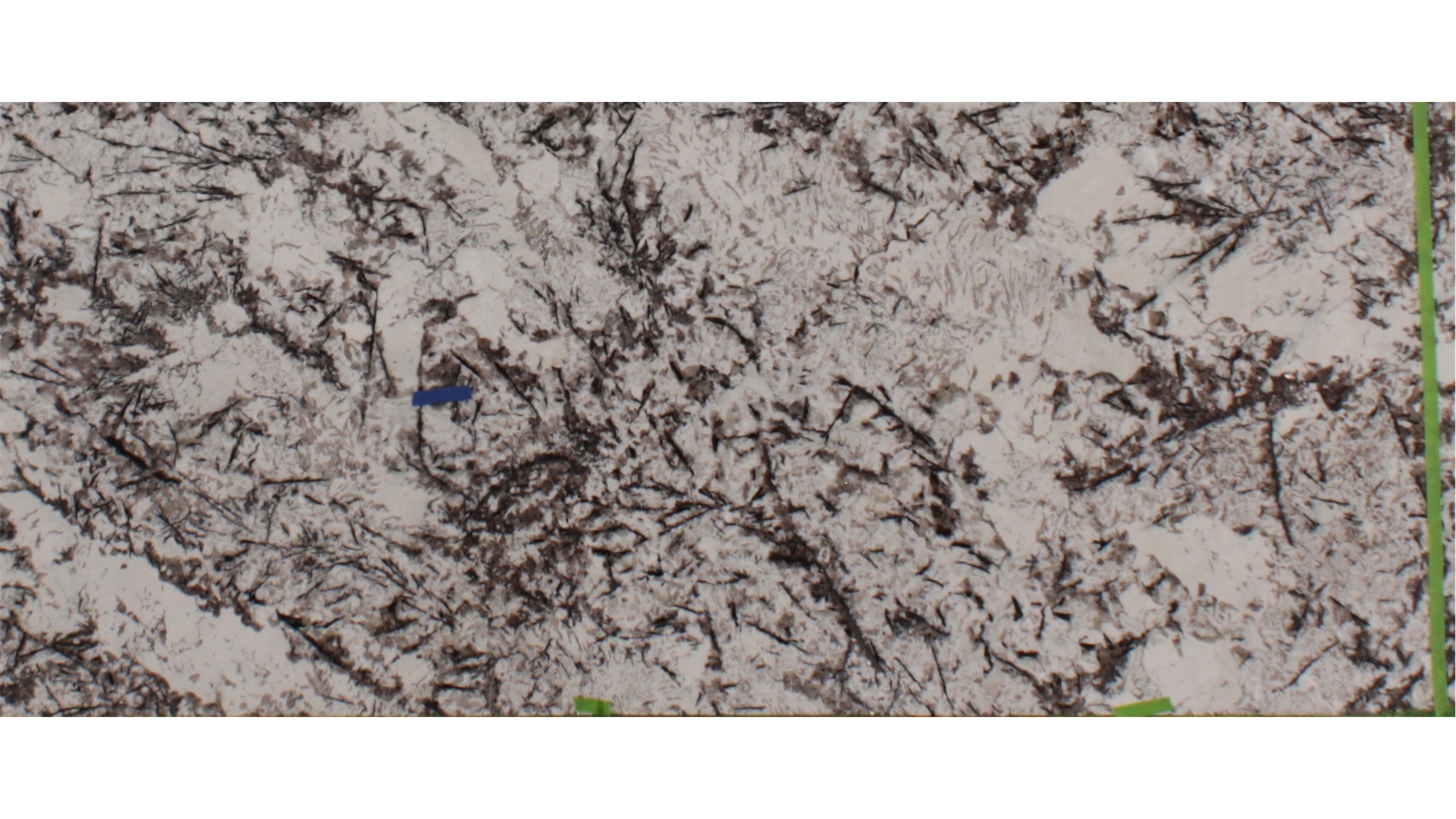 White Orion Granite Slabs