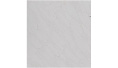 Calacatta Premata Quartz