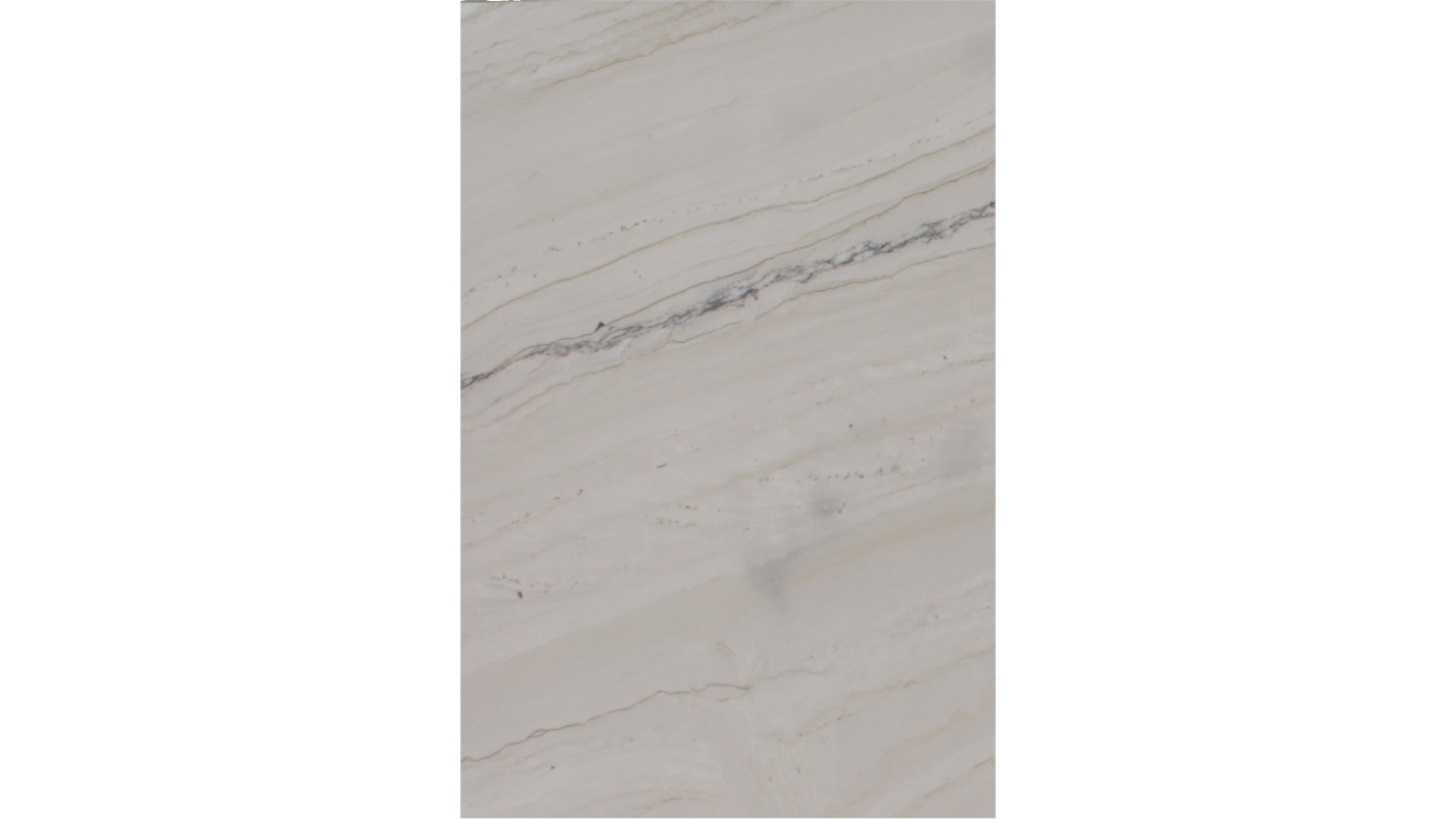 Denali White Pearl Quartzite Slabs