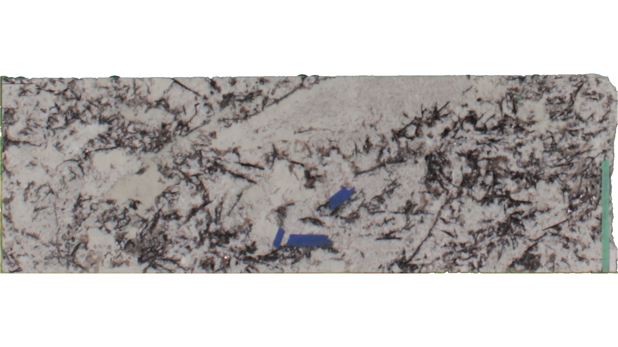 White Orion Granite Slabs