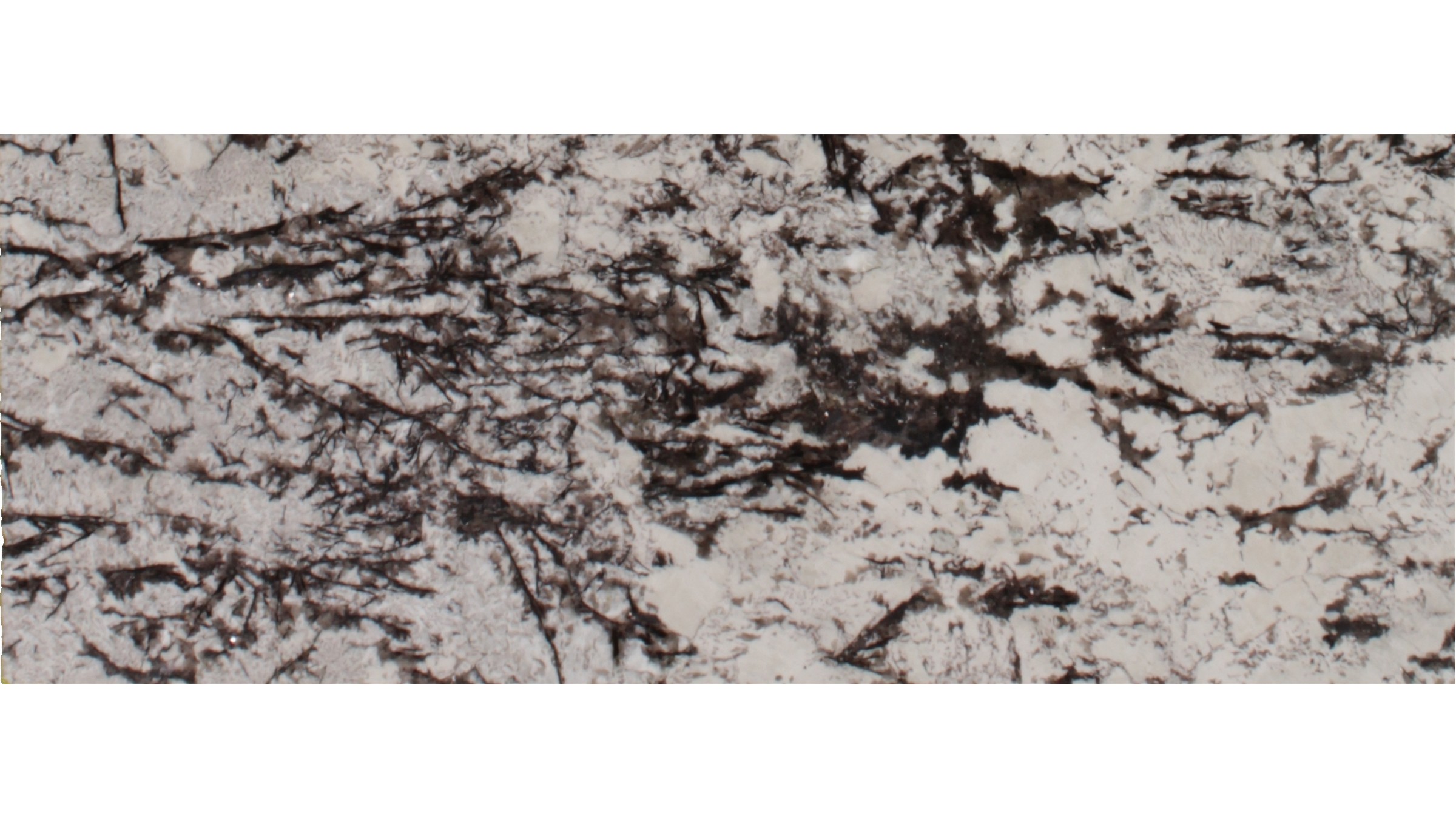 White Orion Granite Slabs