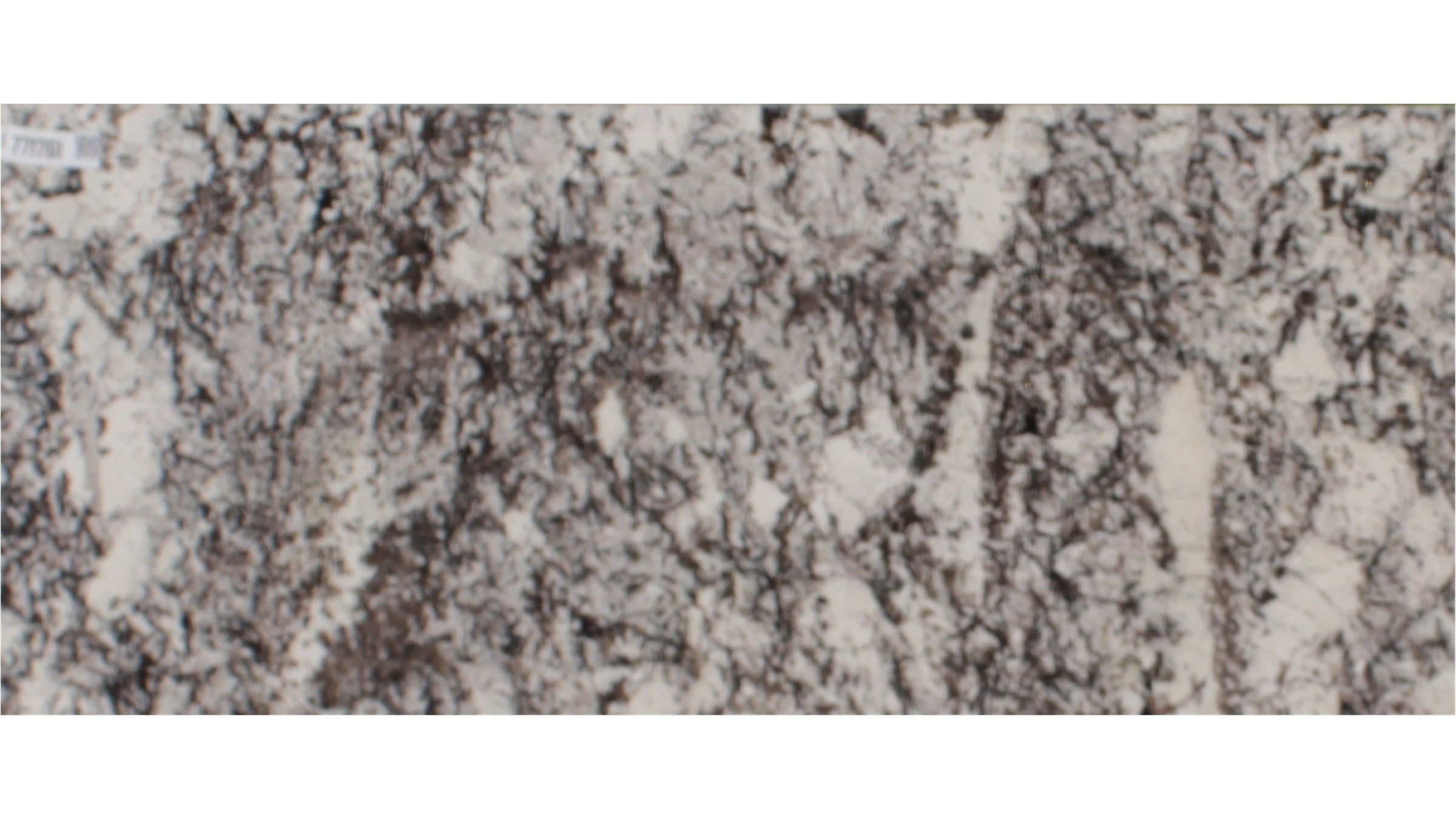 White Orion Granite Slabs