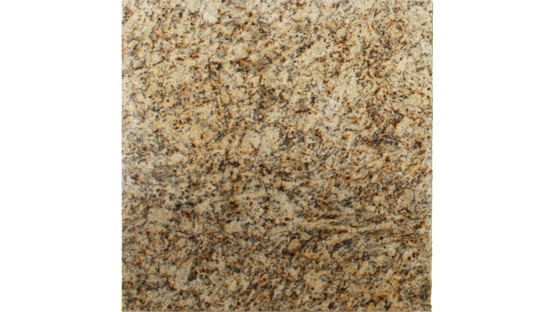 Giallo Verona Granite Slabs