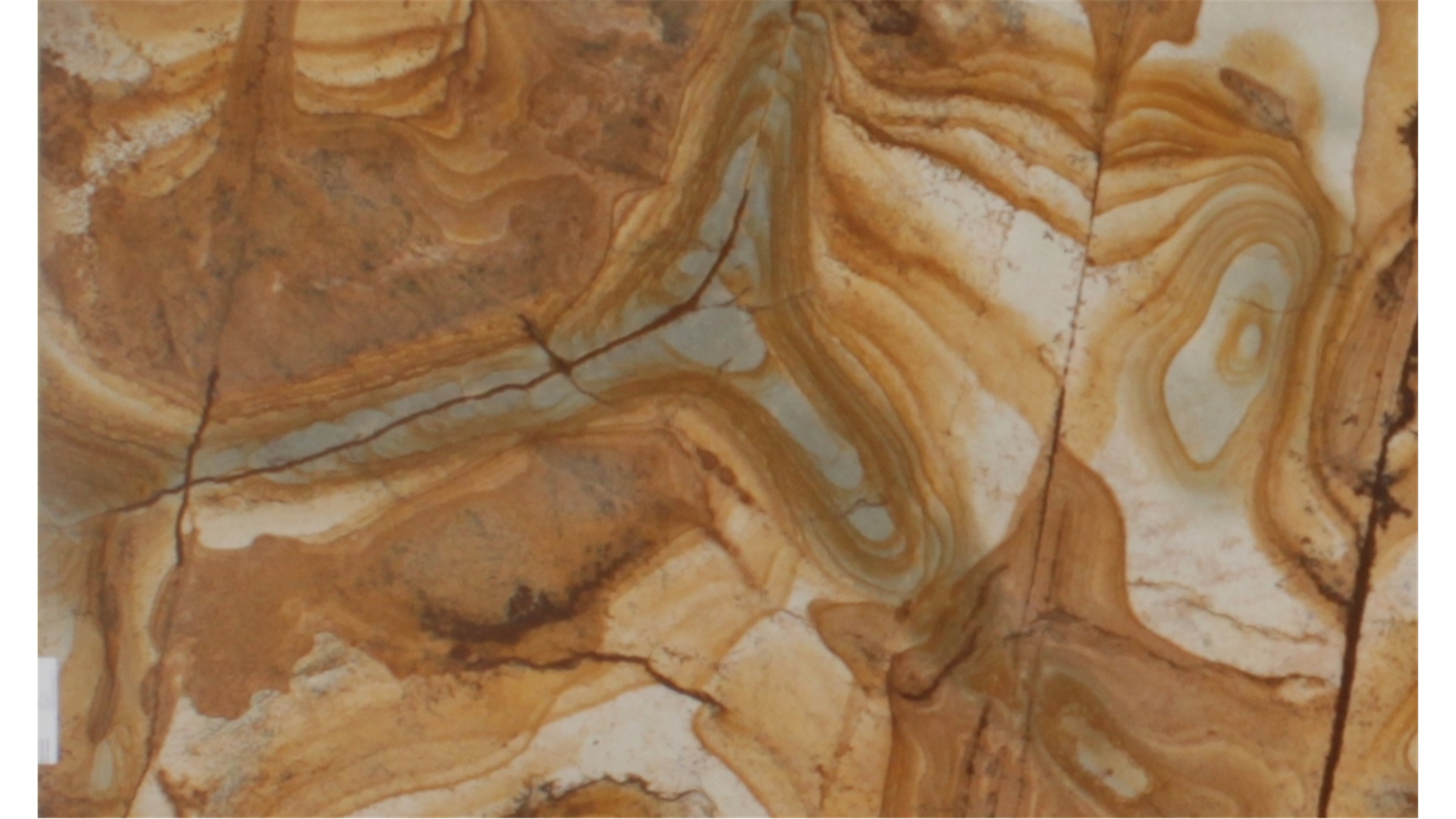 Galapagos Quartzite Slabs