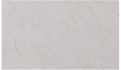 Calacatta Premata Quartz