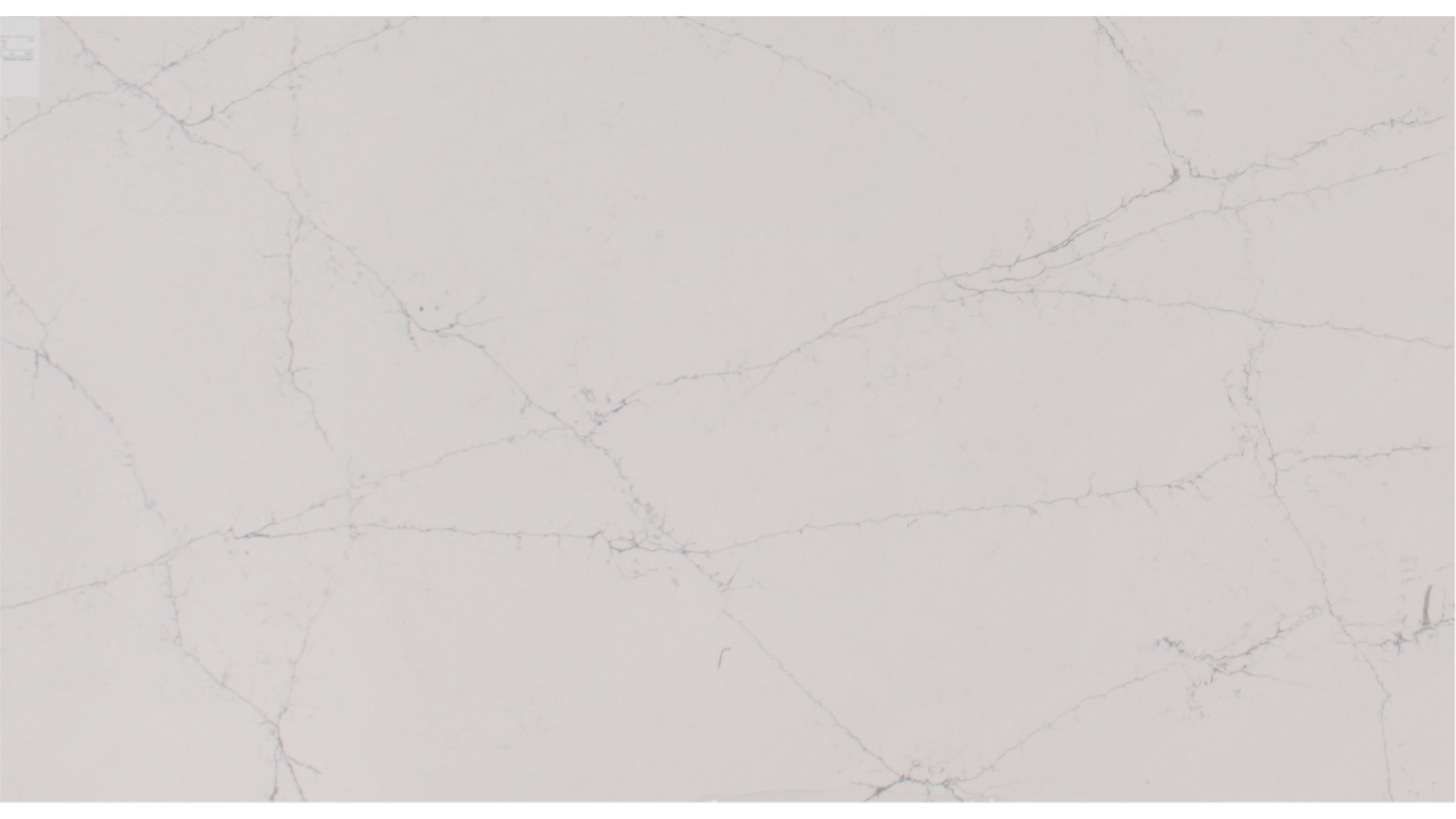 calacatta montage Quartz Slabs