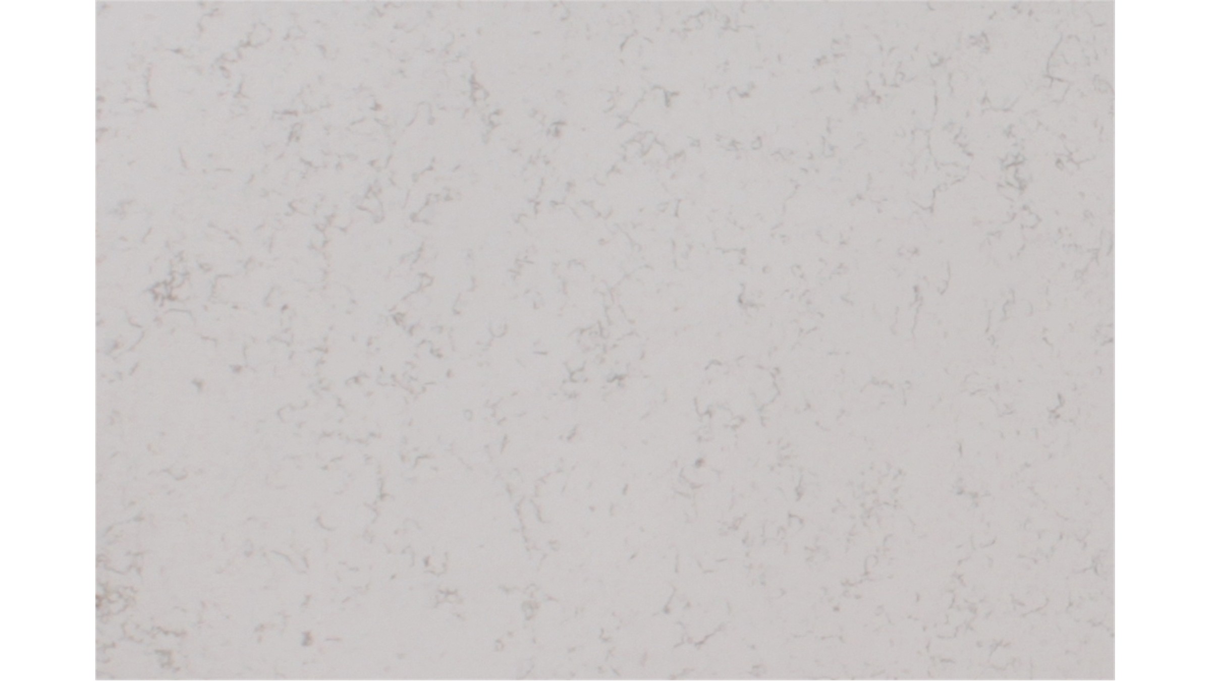 Blanca Statuarietto Quartz Slabs