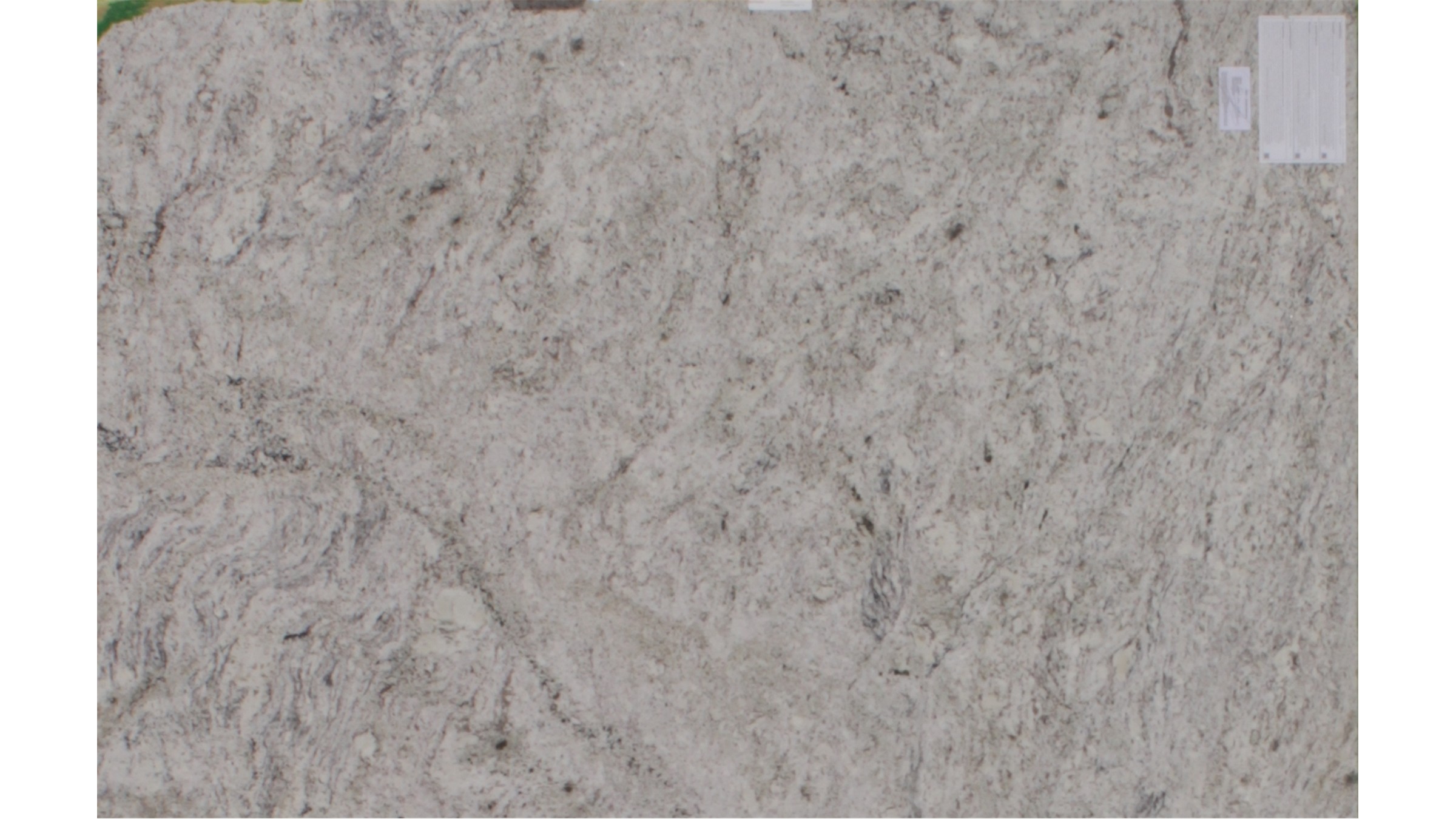 Salinas White Granite Slabs