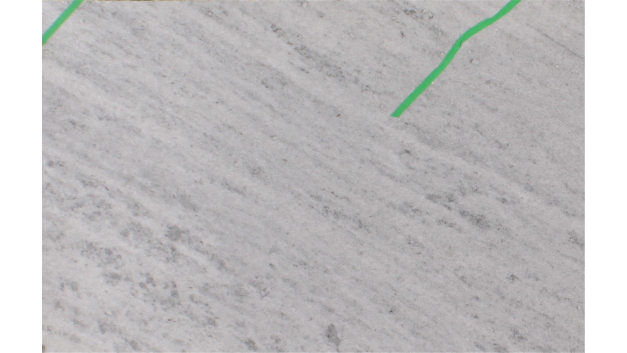 Platinum White Granite Slabs